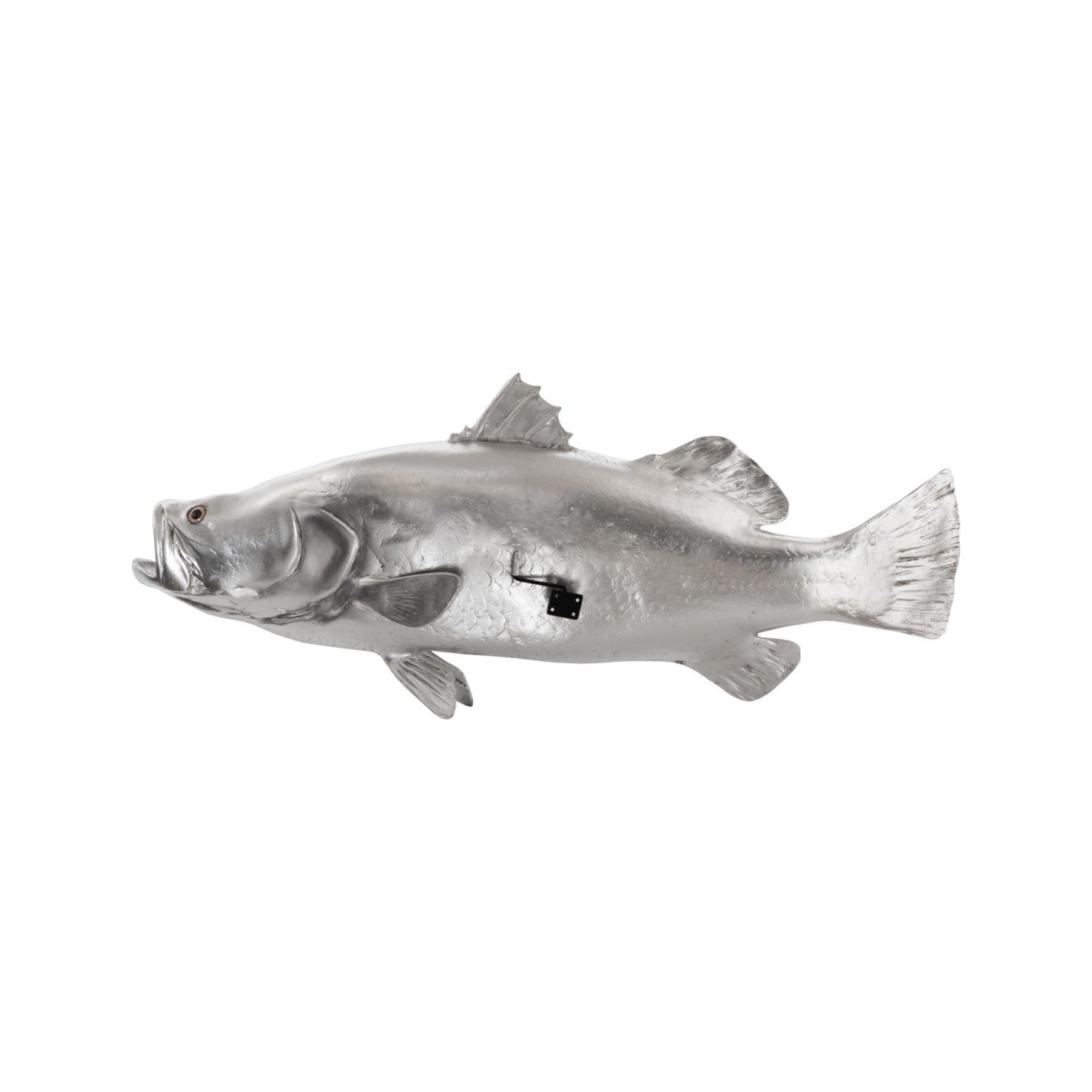 Barramundi Fish Wall Sculpture