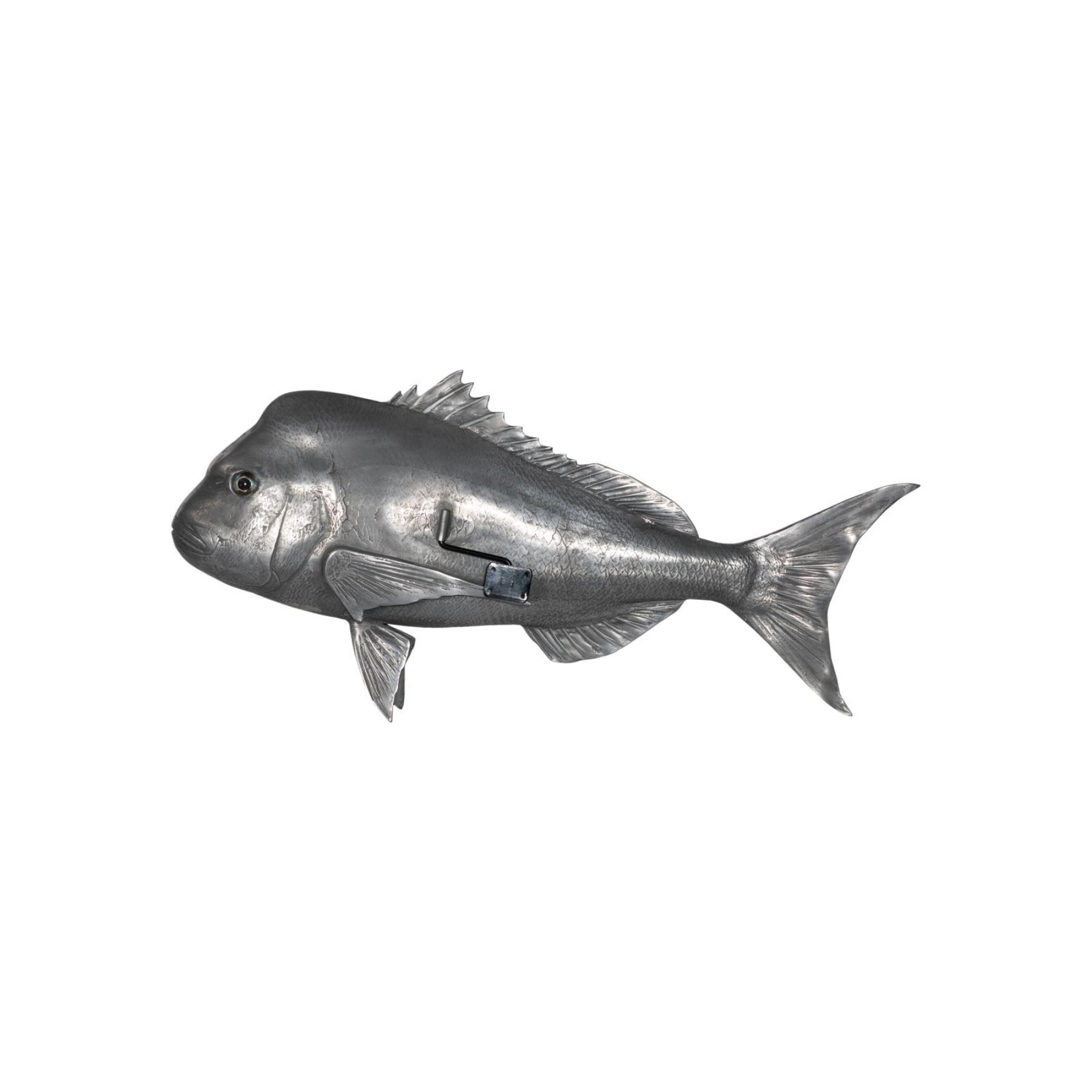 Australian Snapper Fish Wall Sculpture