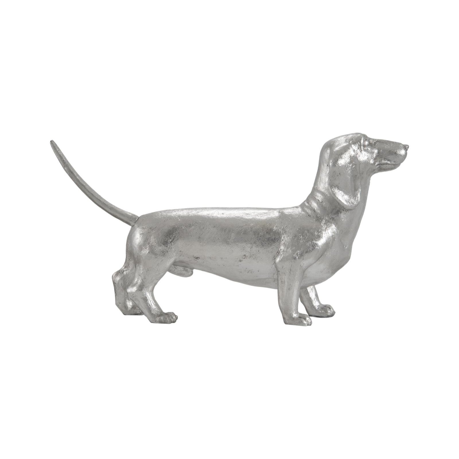 Dachshund
