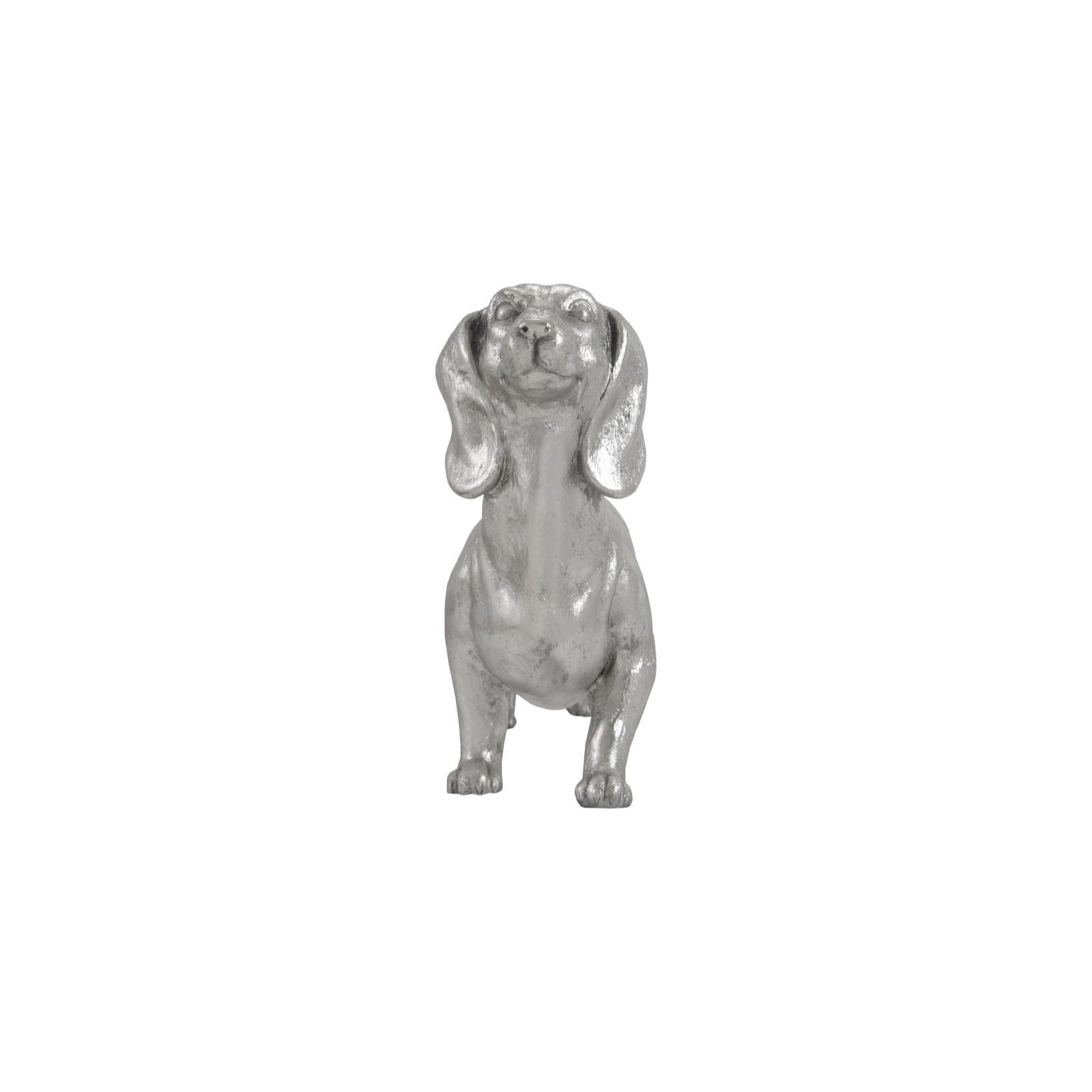 Dachshund