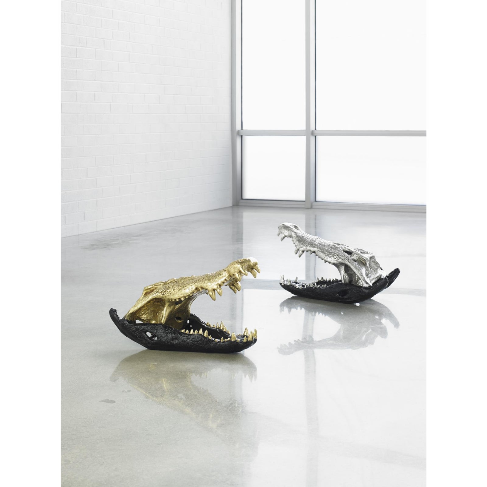 Crocodile Skull