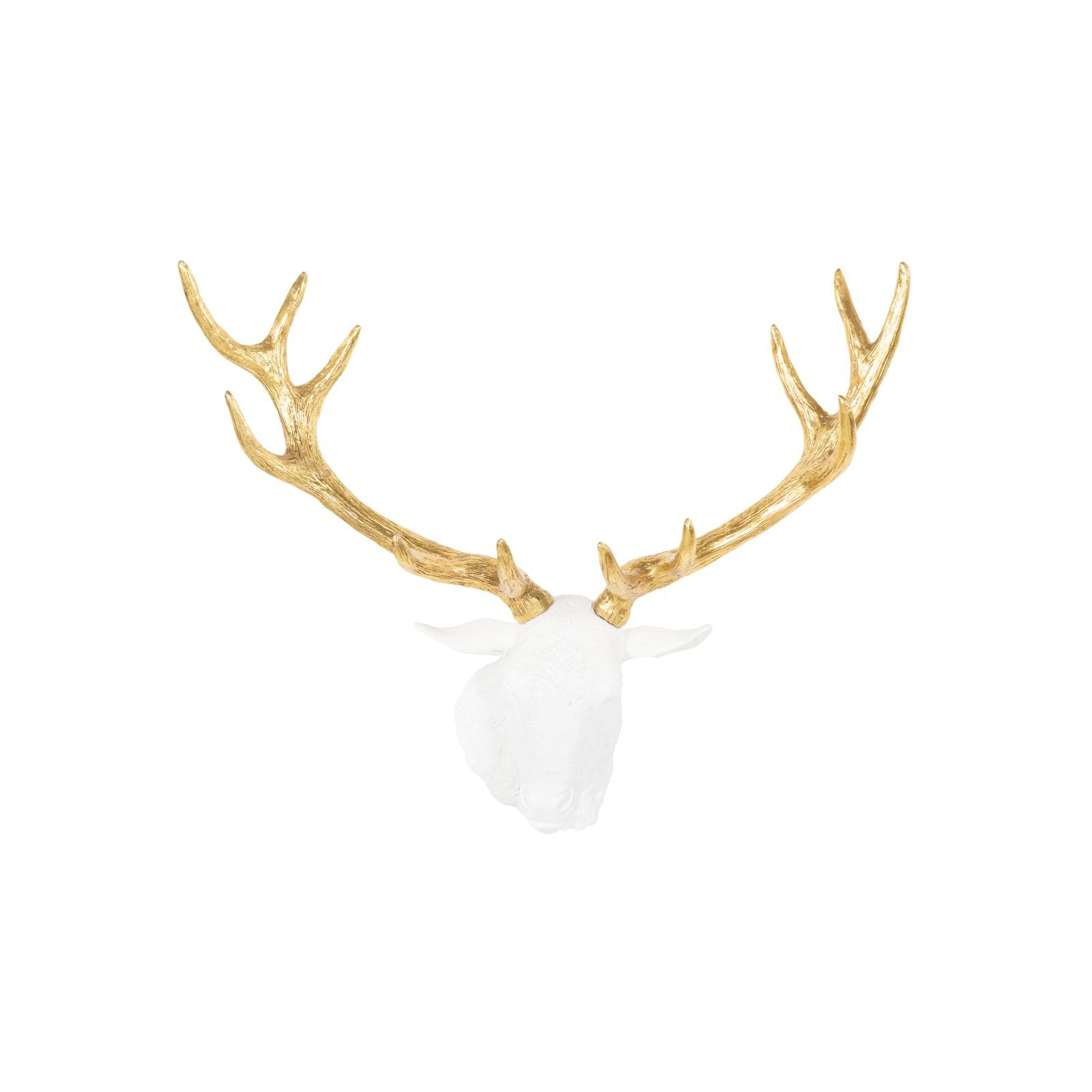 Stag Deer Head