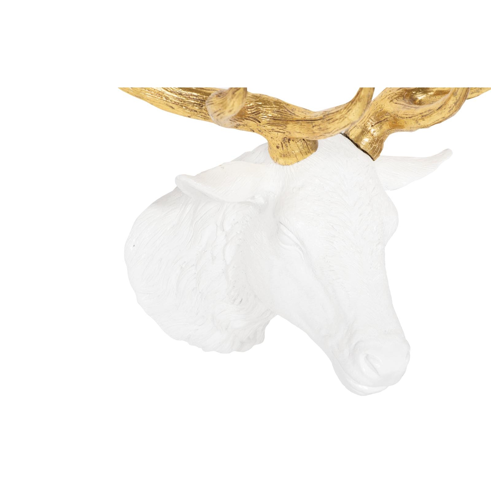 Stag Deer Head