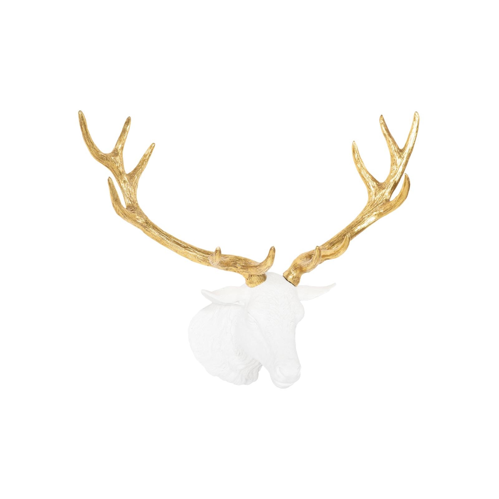 Stag Deer Head