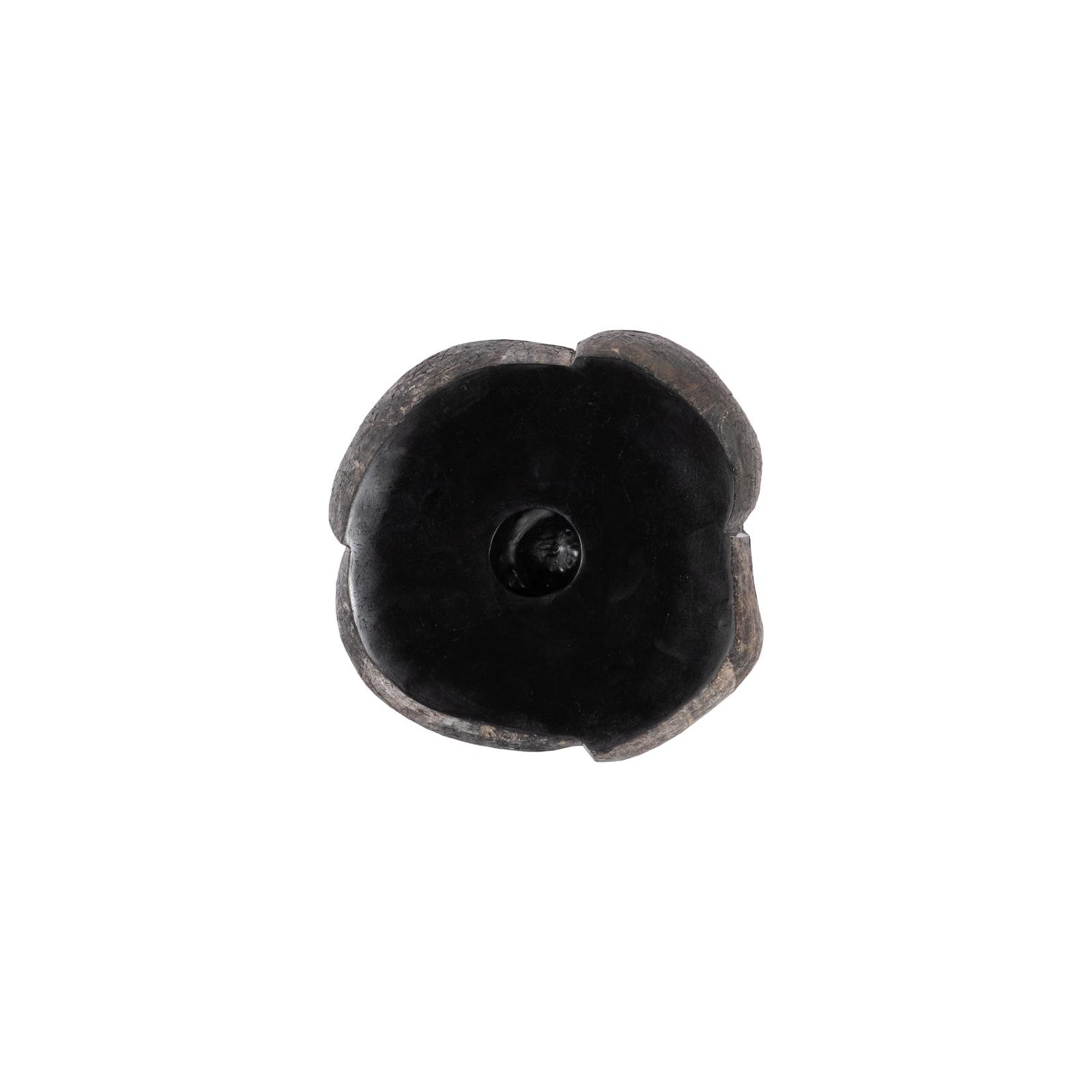 Pen Shell Wall Art