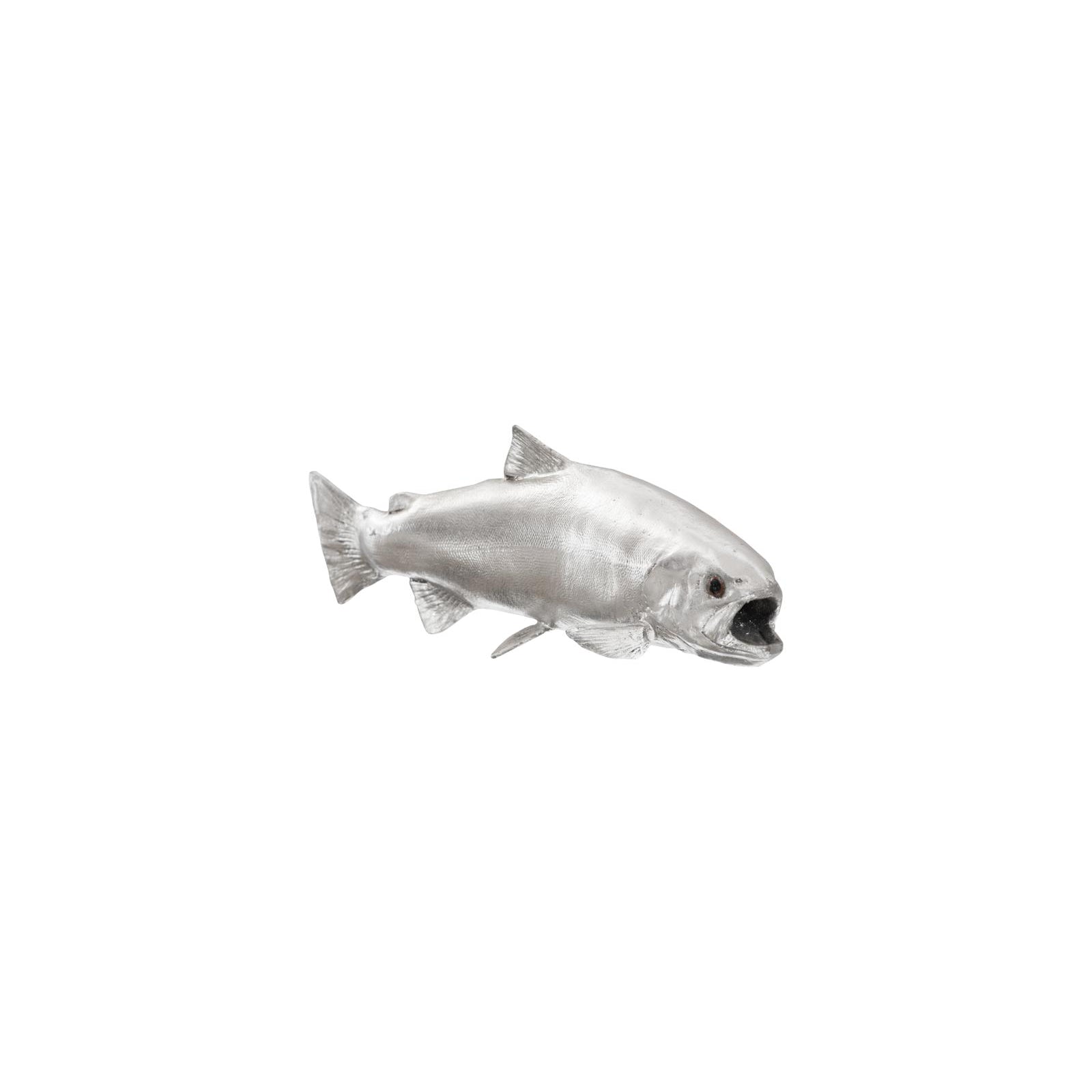 Rainbow Trout Fish