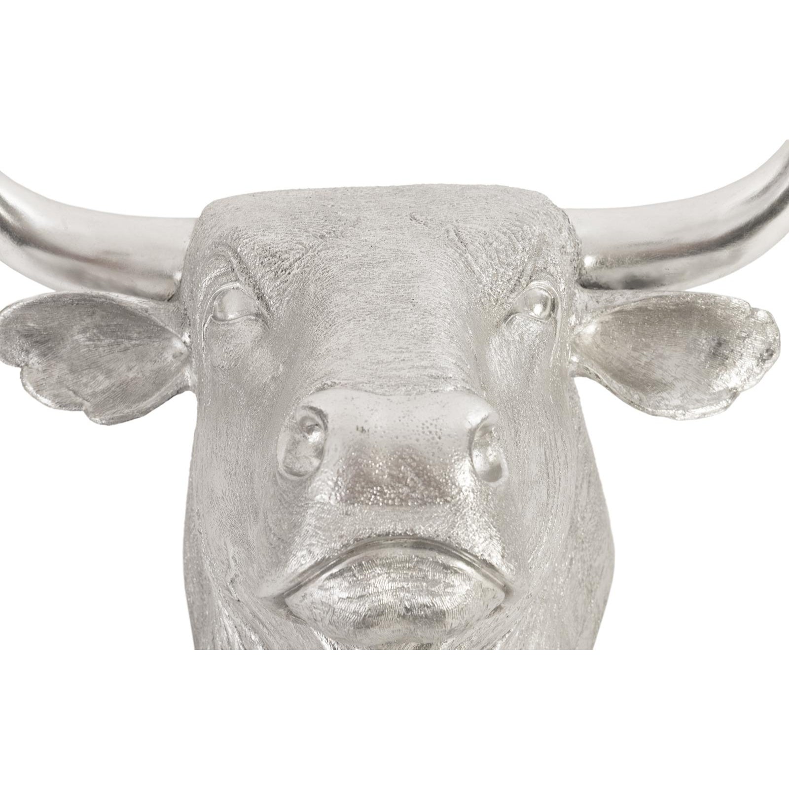 Spanish Fighting Bull Wall Art