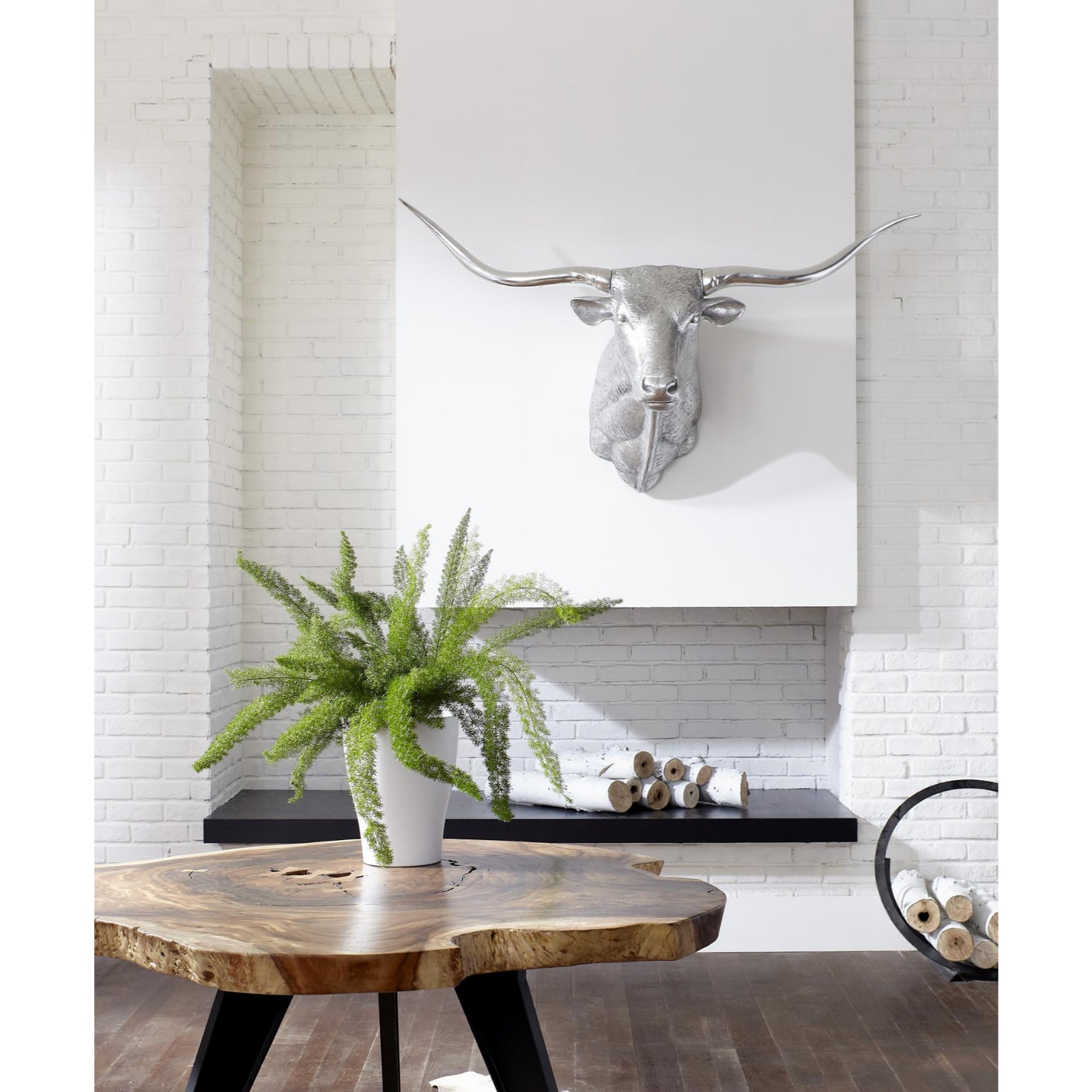 Longhorn Bull Wall Art