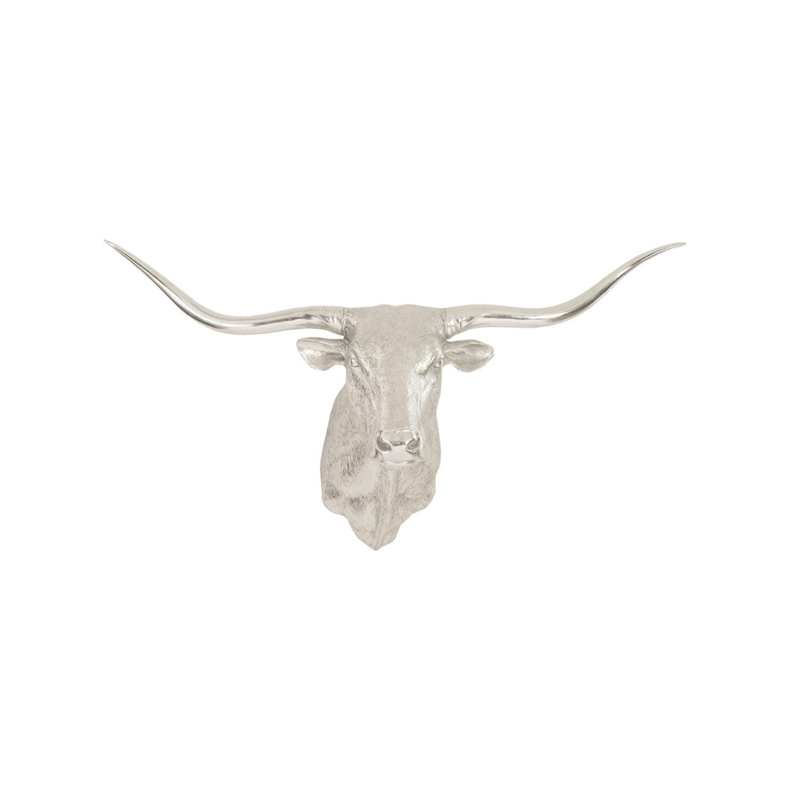 Longhorn Bull Wall Art