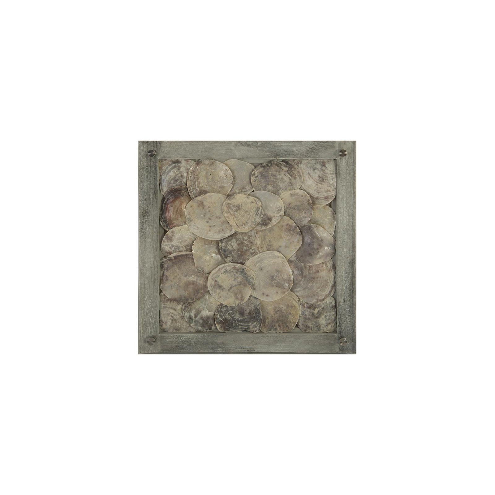 Shell Wall Tile