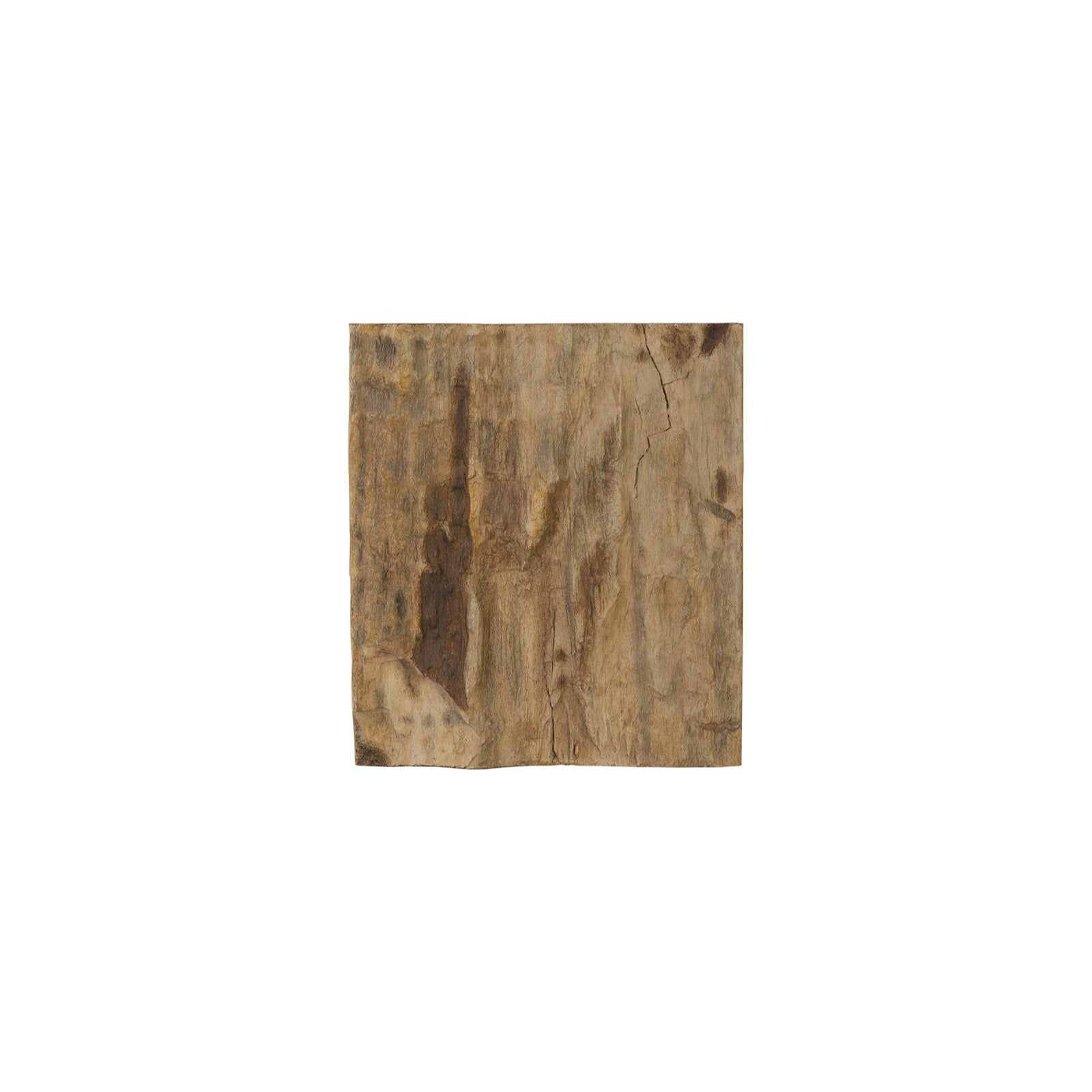 Cast Petrified Wood Square Wall Tile