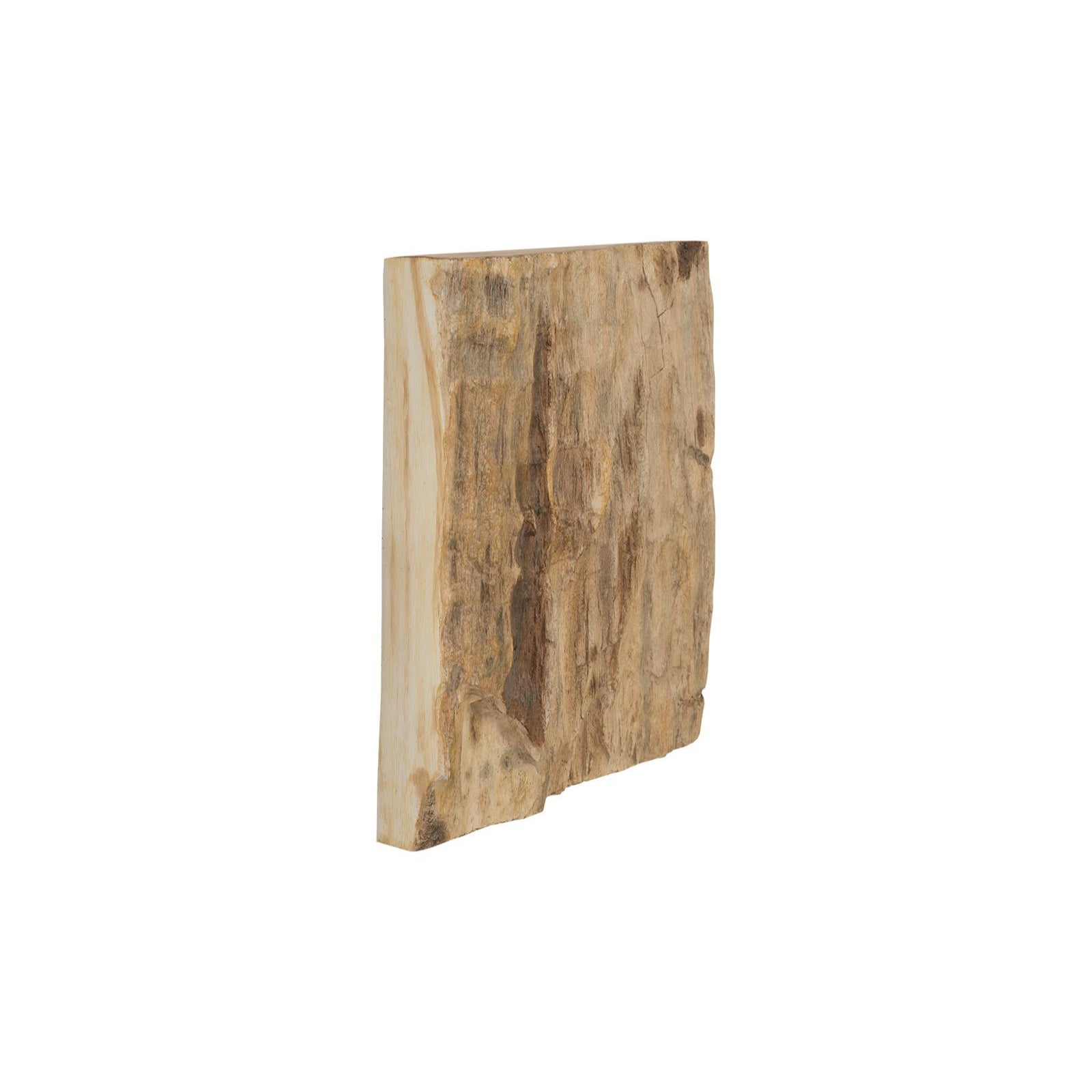 Cast Petrified Wood Square Wall Tile