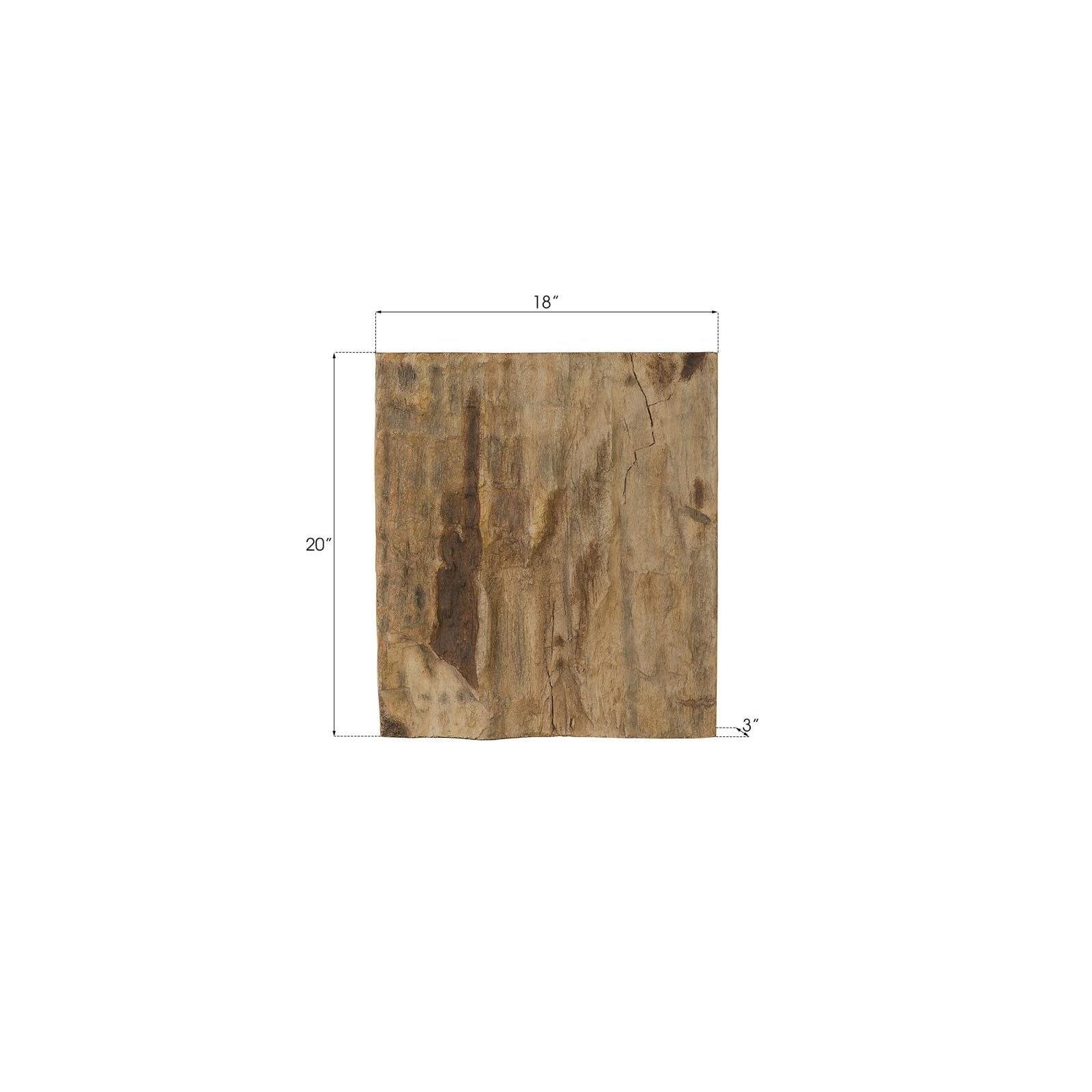 Cast Petrified Wood Square Wall Tile