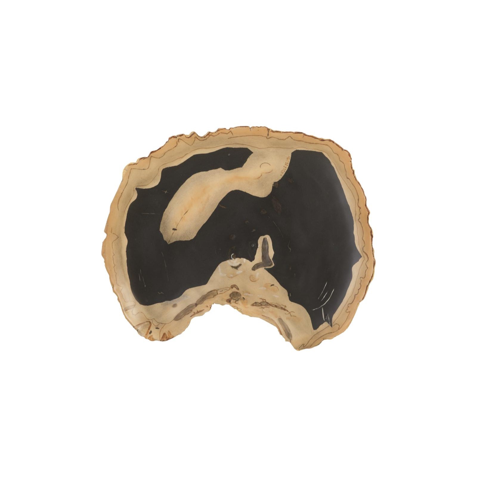 Cast Petrified Wood Thin Wall Tile