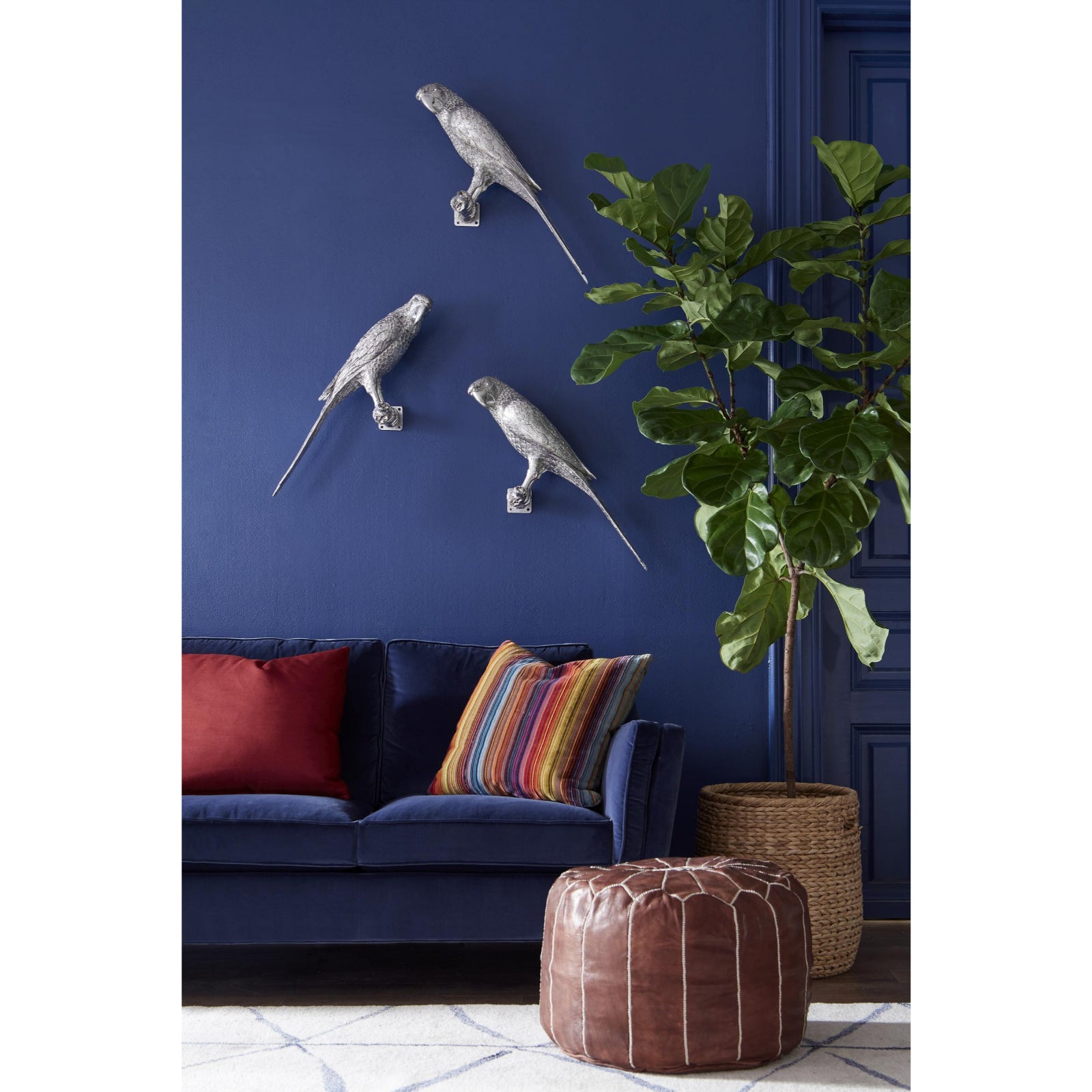 Parrot Looking Right Wall Art