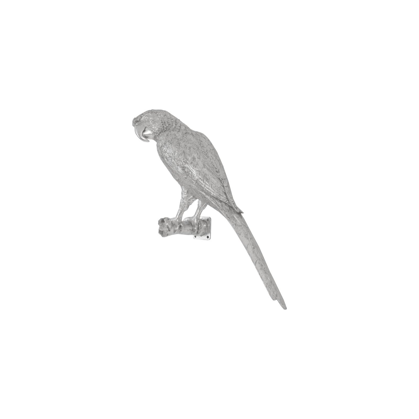 Parrot Looking Left Wall Art