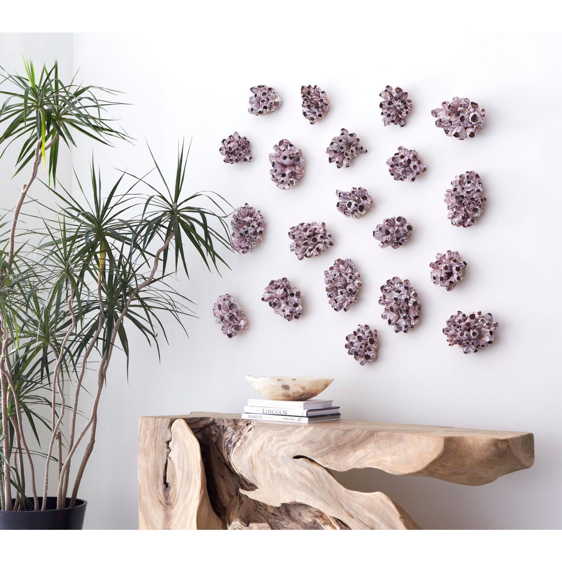 Barnacle Cluster Wall Art