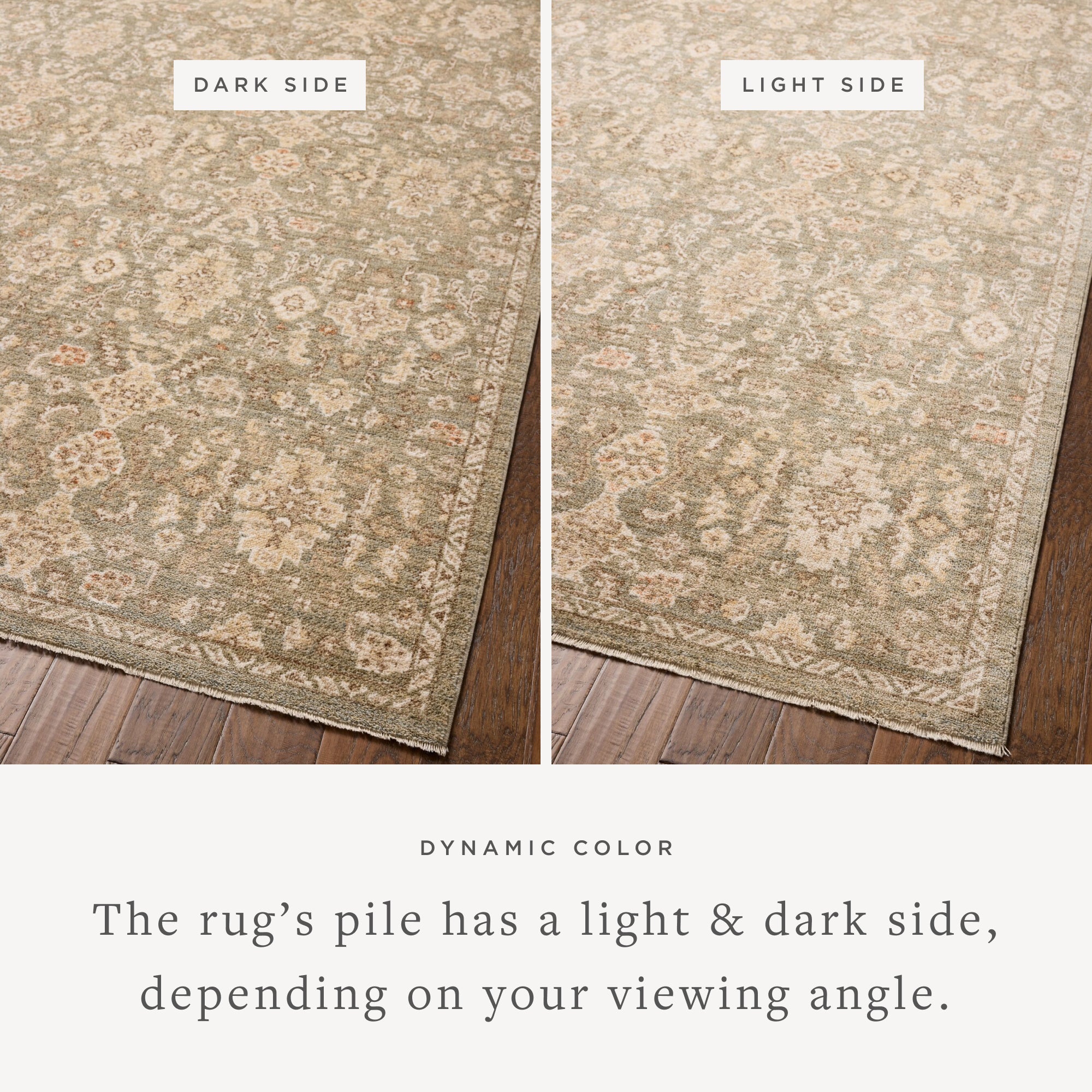 Chris Loves Julia x Loloi Palma Lagoon/Natural Rug