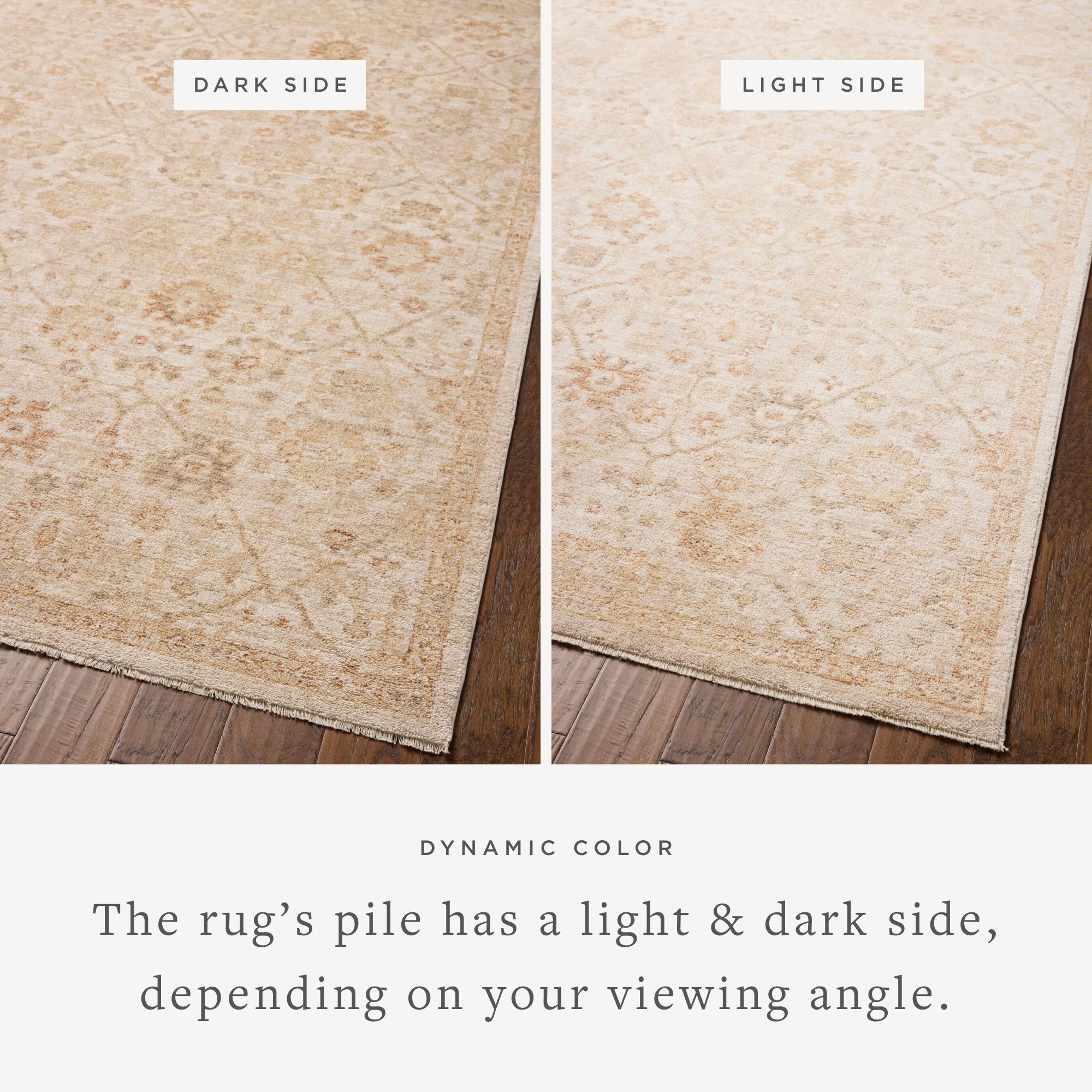 Chris Loves Julia x Loloi Palma Natural/Spice Rug