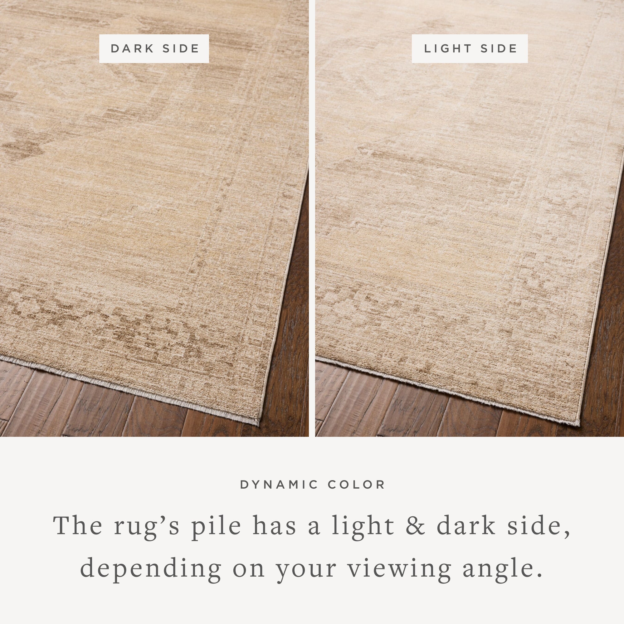 Chris Loves Julia x Loloi Palma Wheat/Taupe Rug