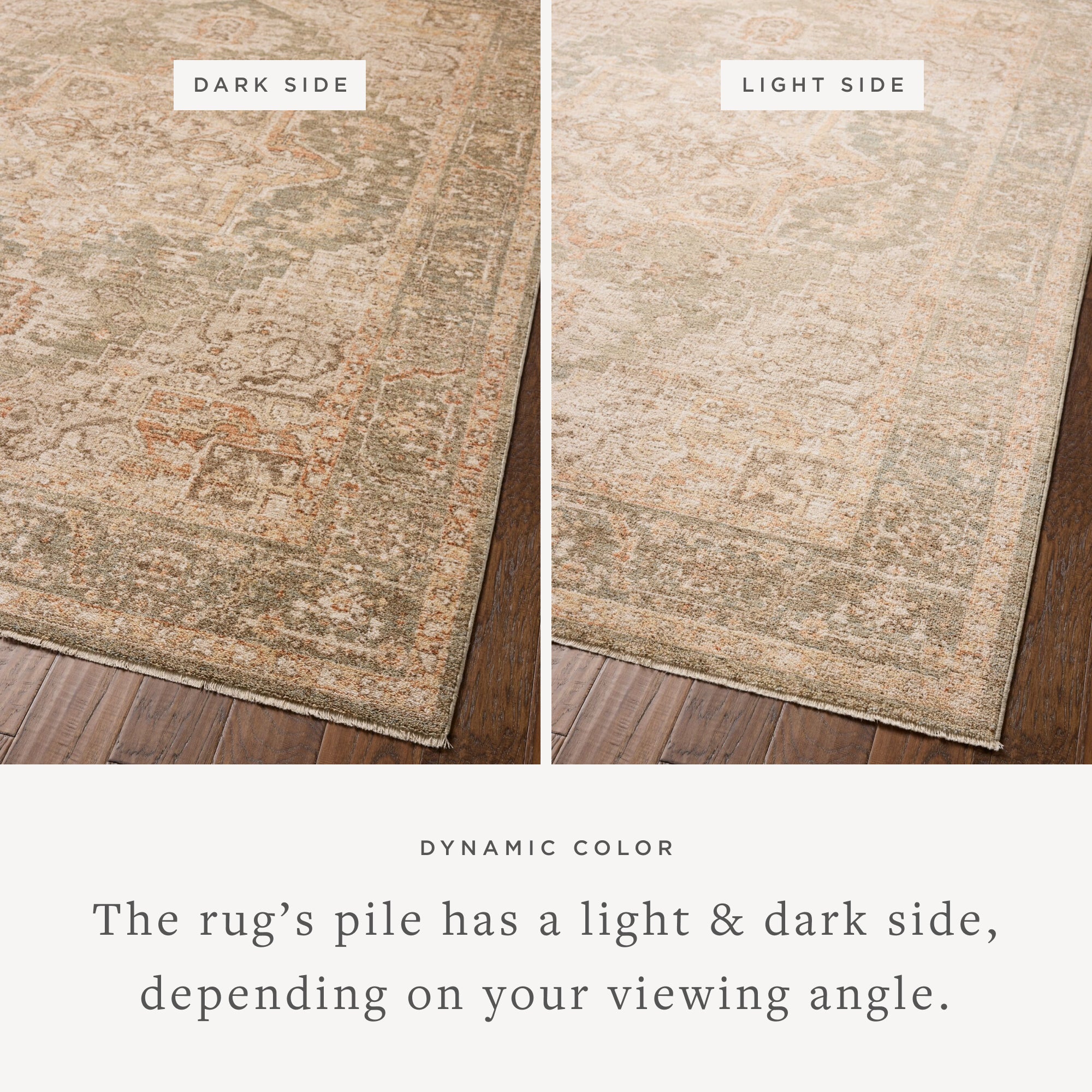 Chris Loves Julia x Loloi Palma Olive/Spice Rug