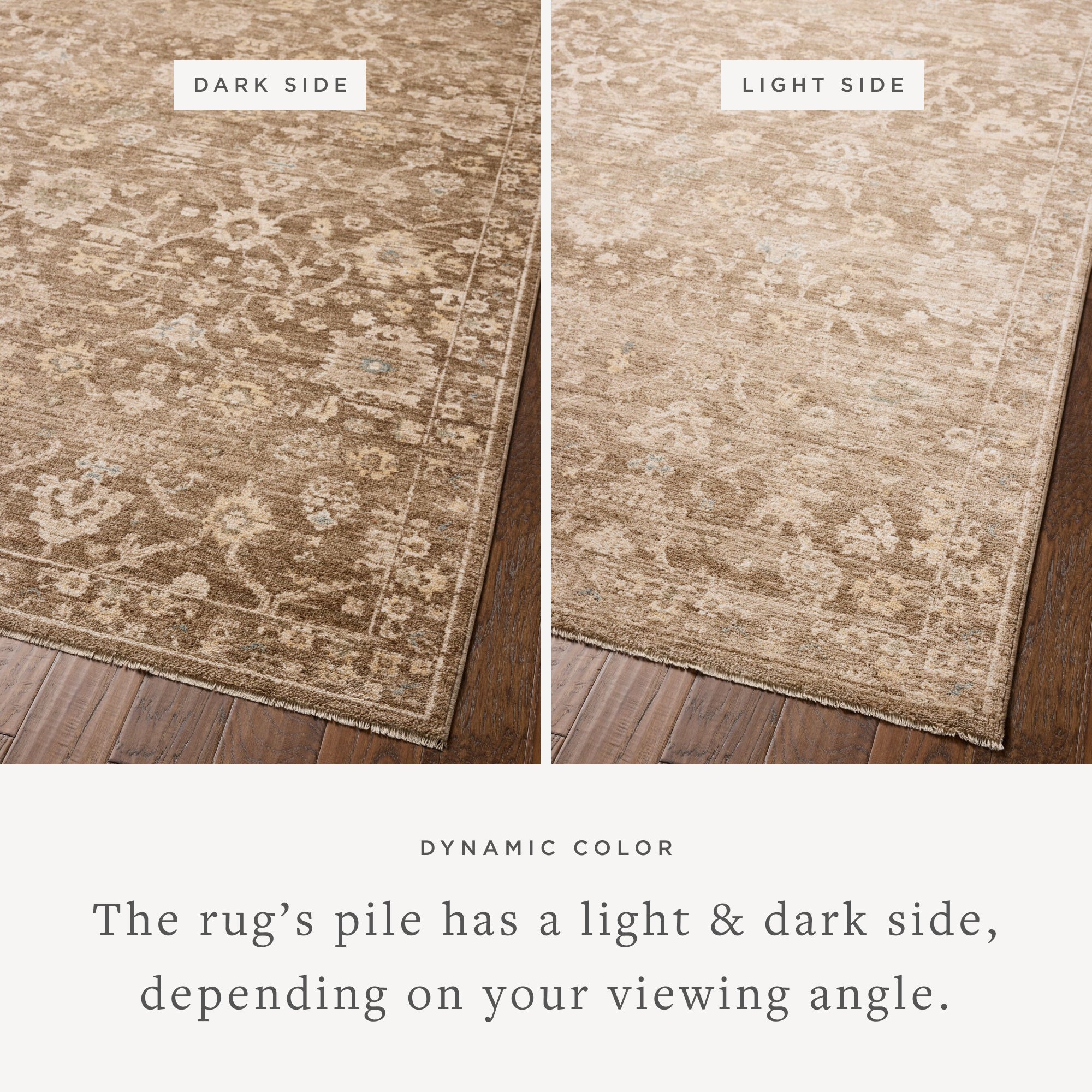 Chris Loves Julia x Loloi Palma Brown/Earth Rug