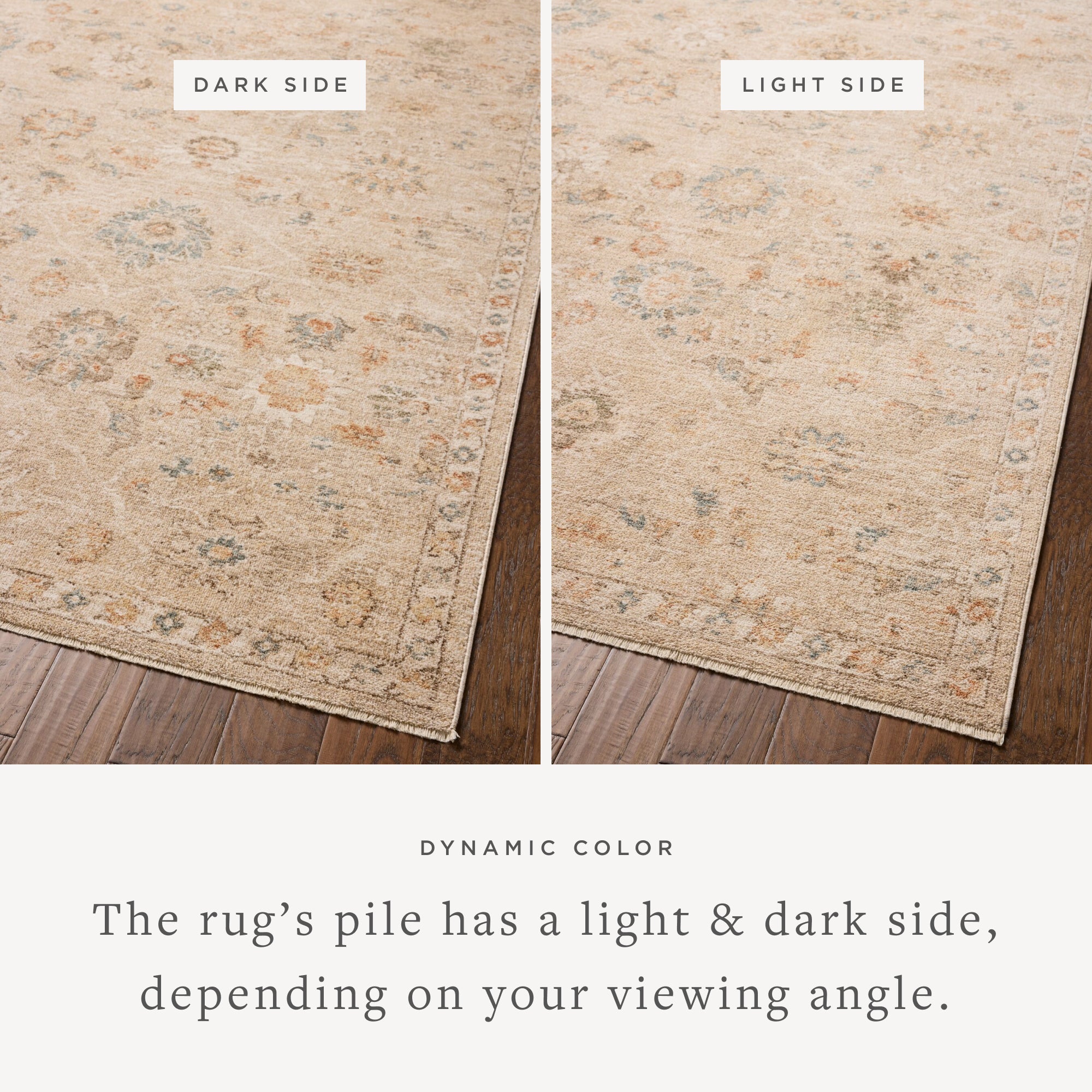 Chris Loves Julia x Loloi Palma Natural/Multi Rug