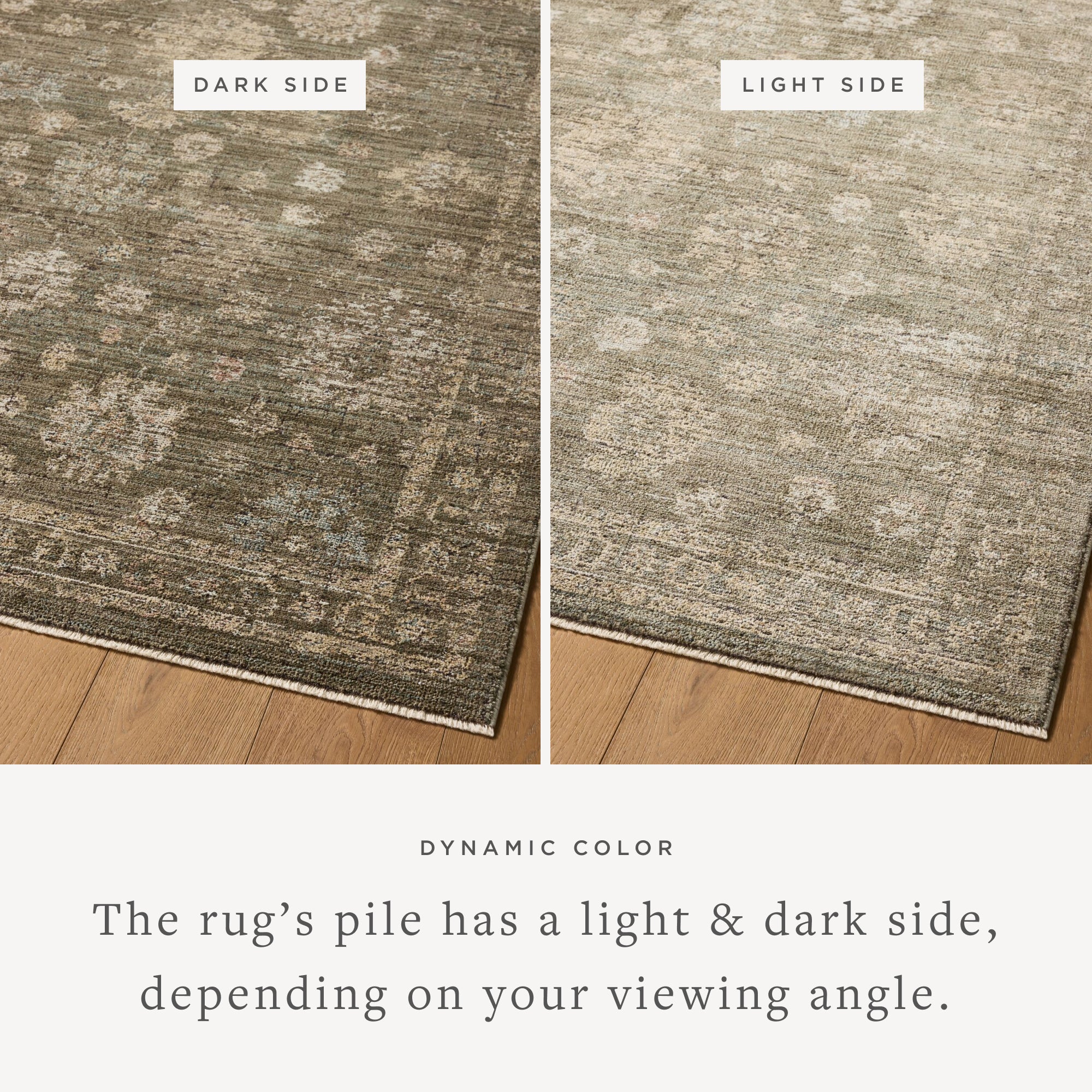 Loloi Priscilla Olive/Sand Rug