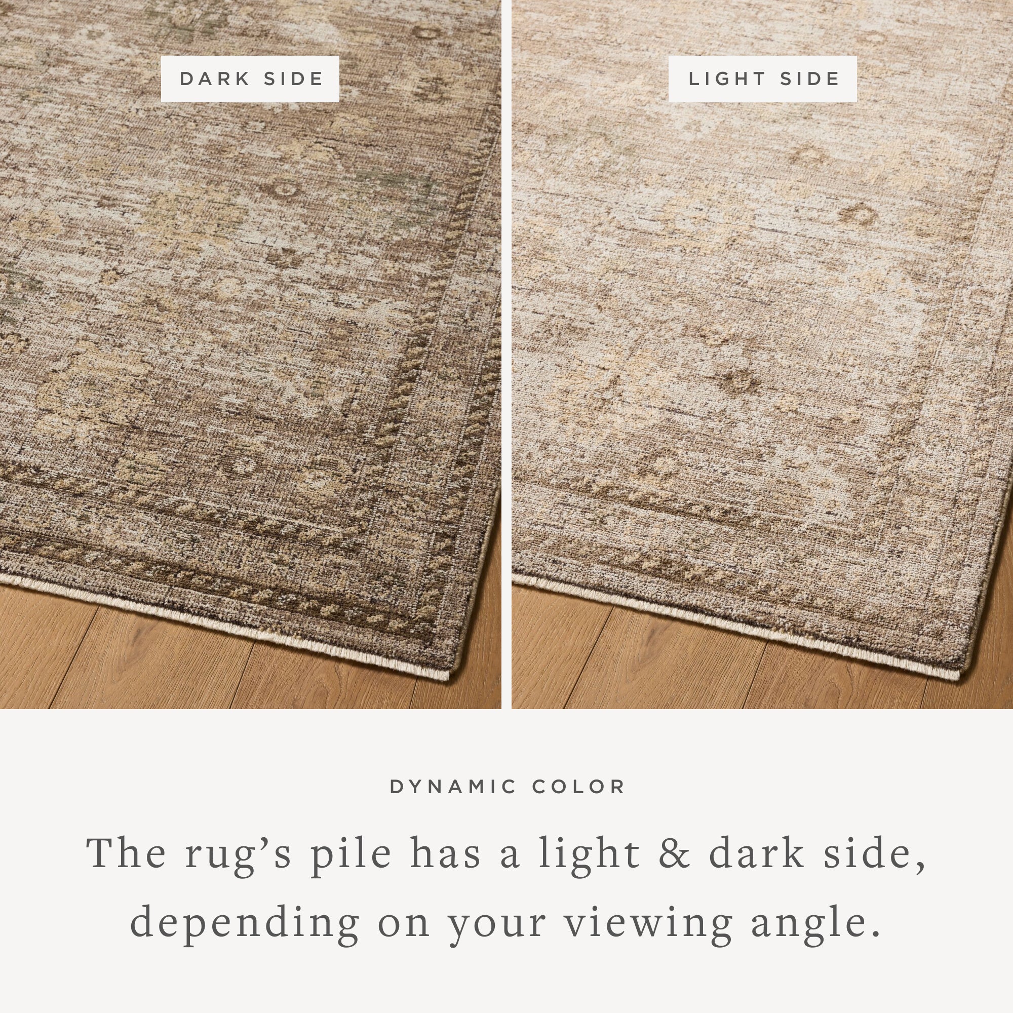 Loloi Priscilla Sand/Earth Rug