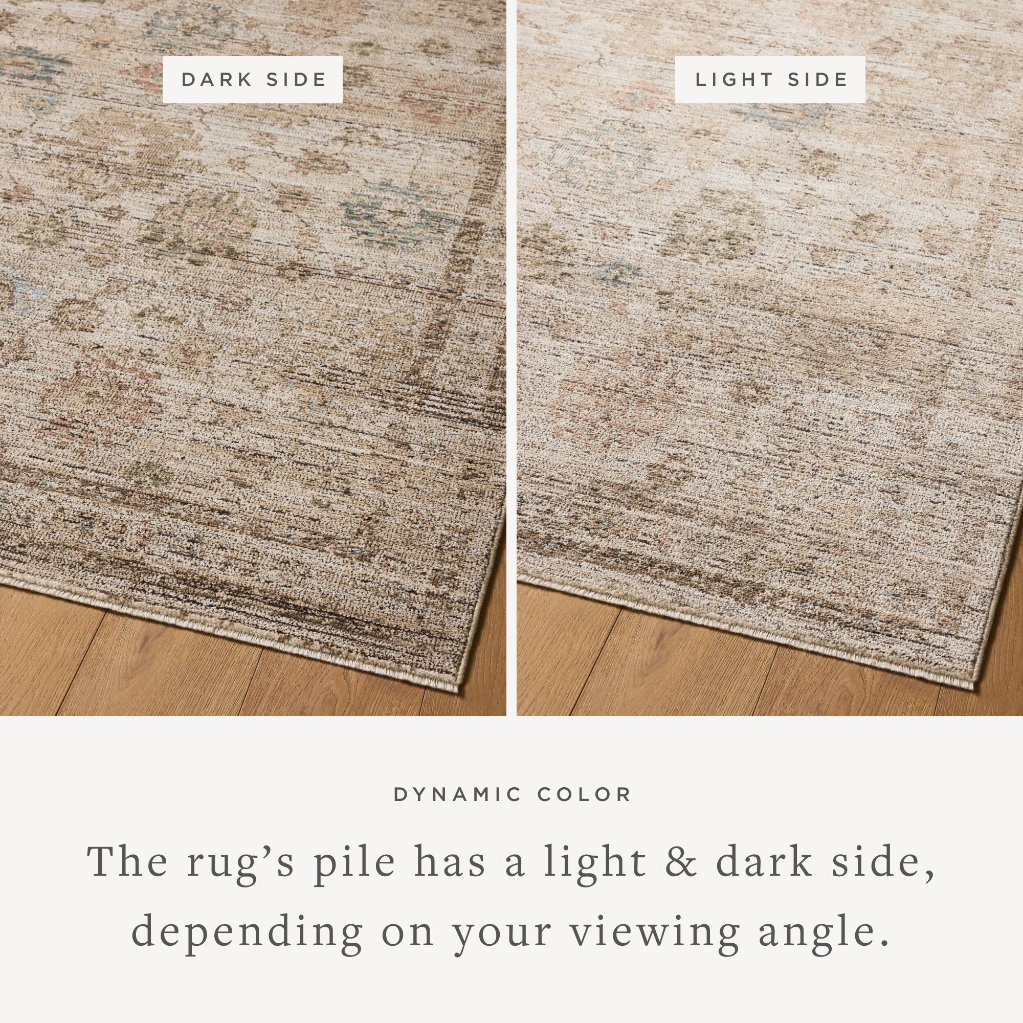 Loloi Priscilla Ivory/Multi Rug