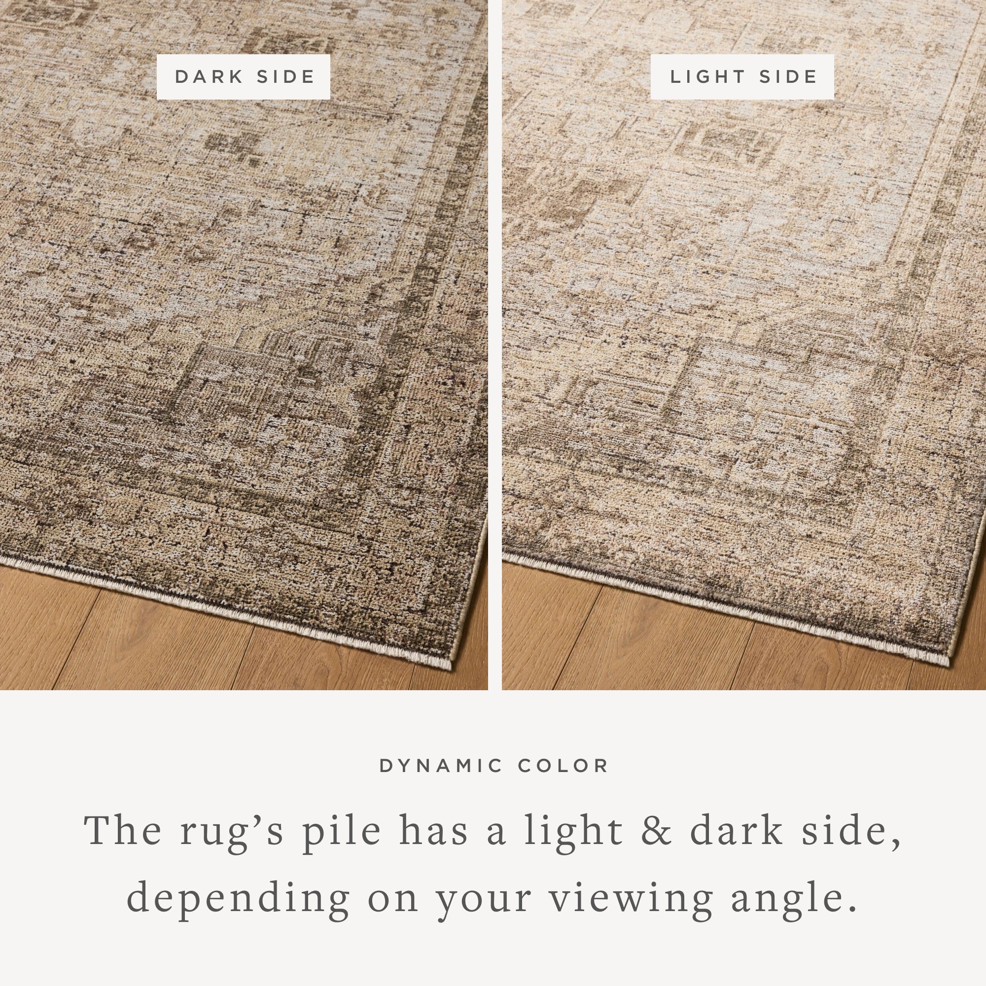 Loloi Priscilla Beige/Earth Rug