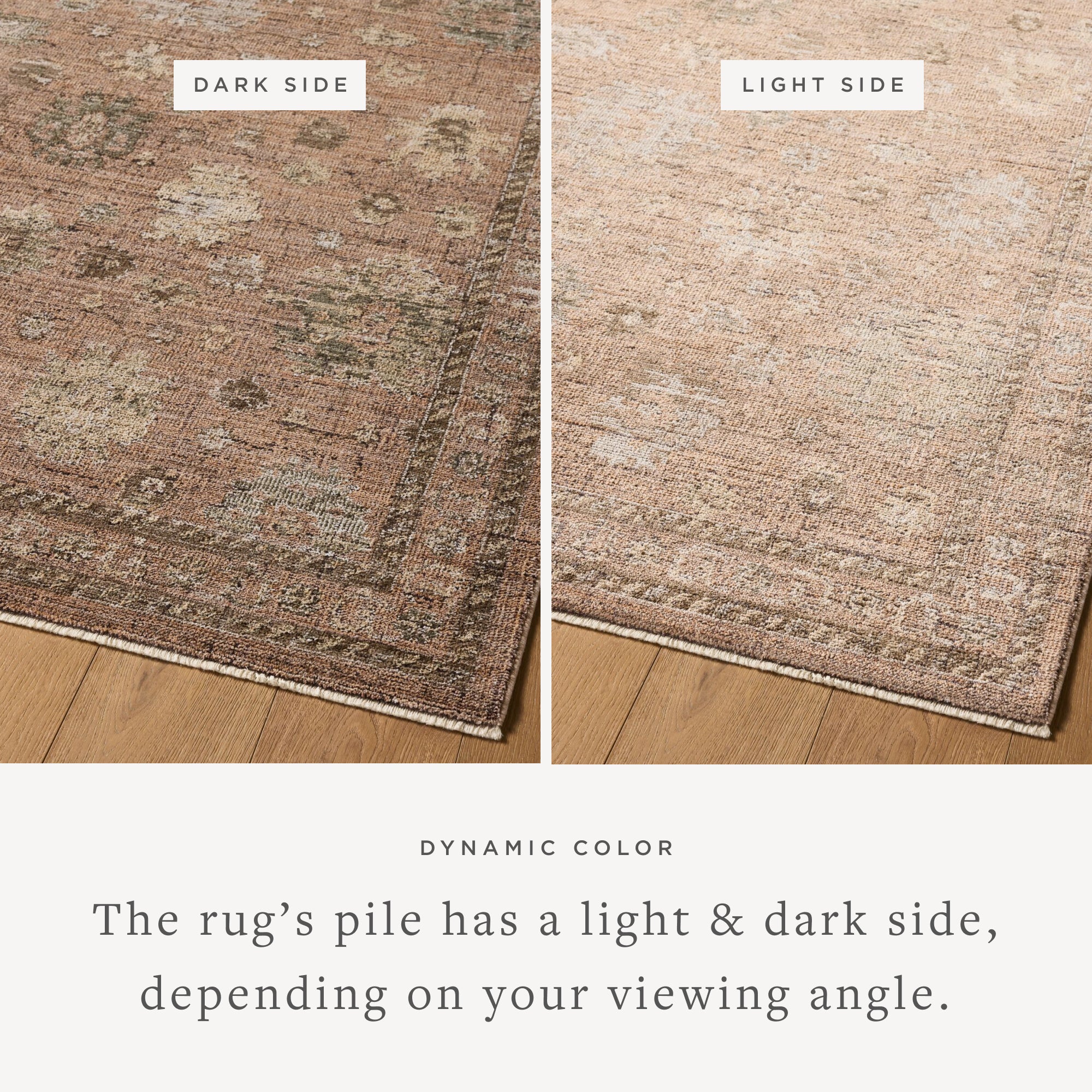 Loloi Priscilla Blush/Multi Rug