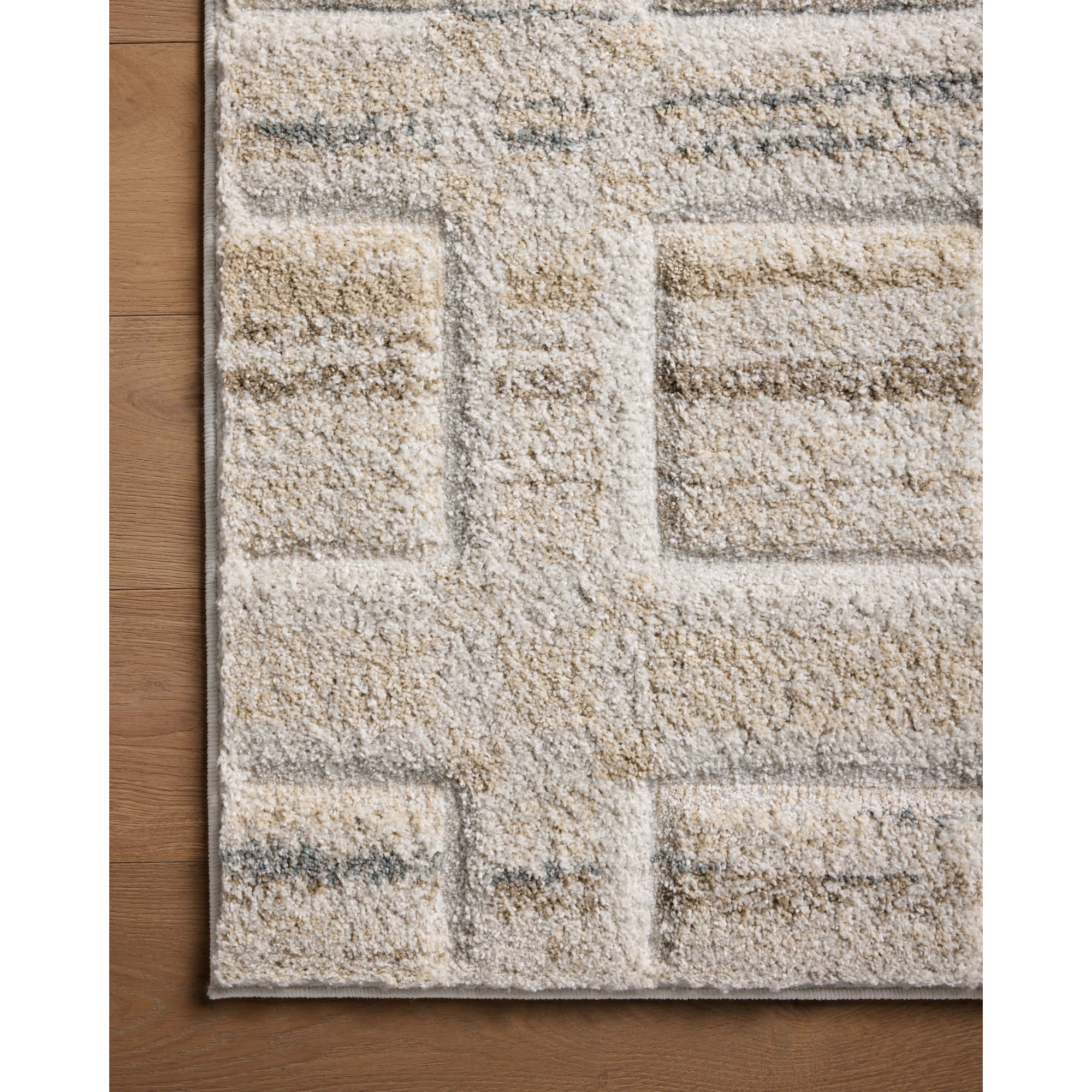 Loloi Silas Bone/Multi Rug