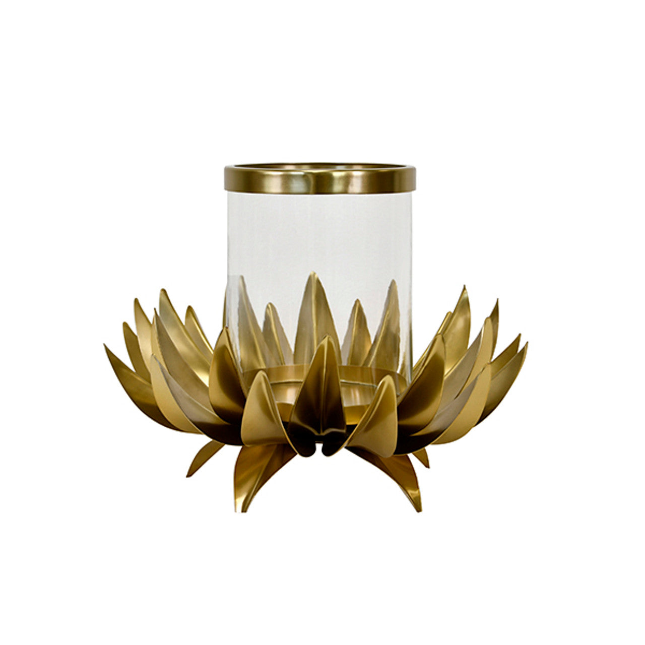 Sirius Palm Tree Hurricane Candle Holders Worlds Away Small , Black Friday Sale Worlds Away Furniture Sale, Old Bones Co, Mid Century Furniture Sale, Four Hands Furniture, Black Friday Sale Sirius Palm Tree Hurricane,Gus Sale, Perigold Sirius Palm Tree Hurricane Candle Holders Black Friday Sale , Perigold Sale Sirius Palm Tree Hurricane,Sirius Palm Tree Hurricane Lulu and Georgia, Burke Decor Sale Sirius Palm Tree Hurricane, www.oldbonesco.com
