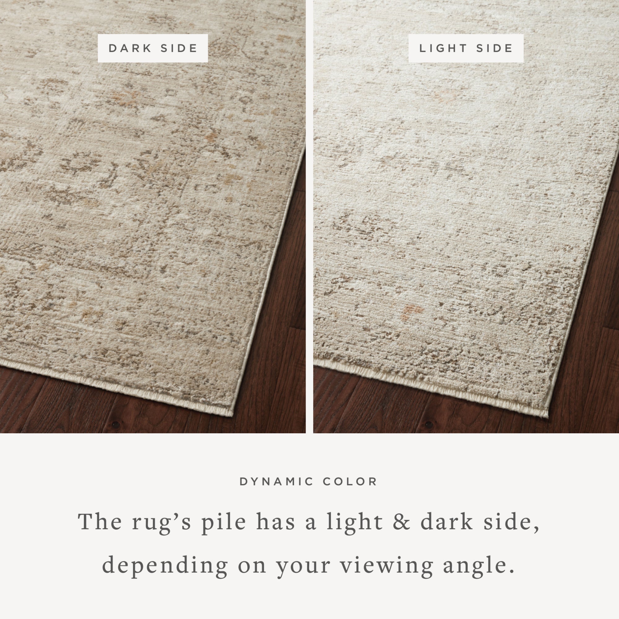 Loloi Sonnet Sand/Taupe Rug