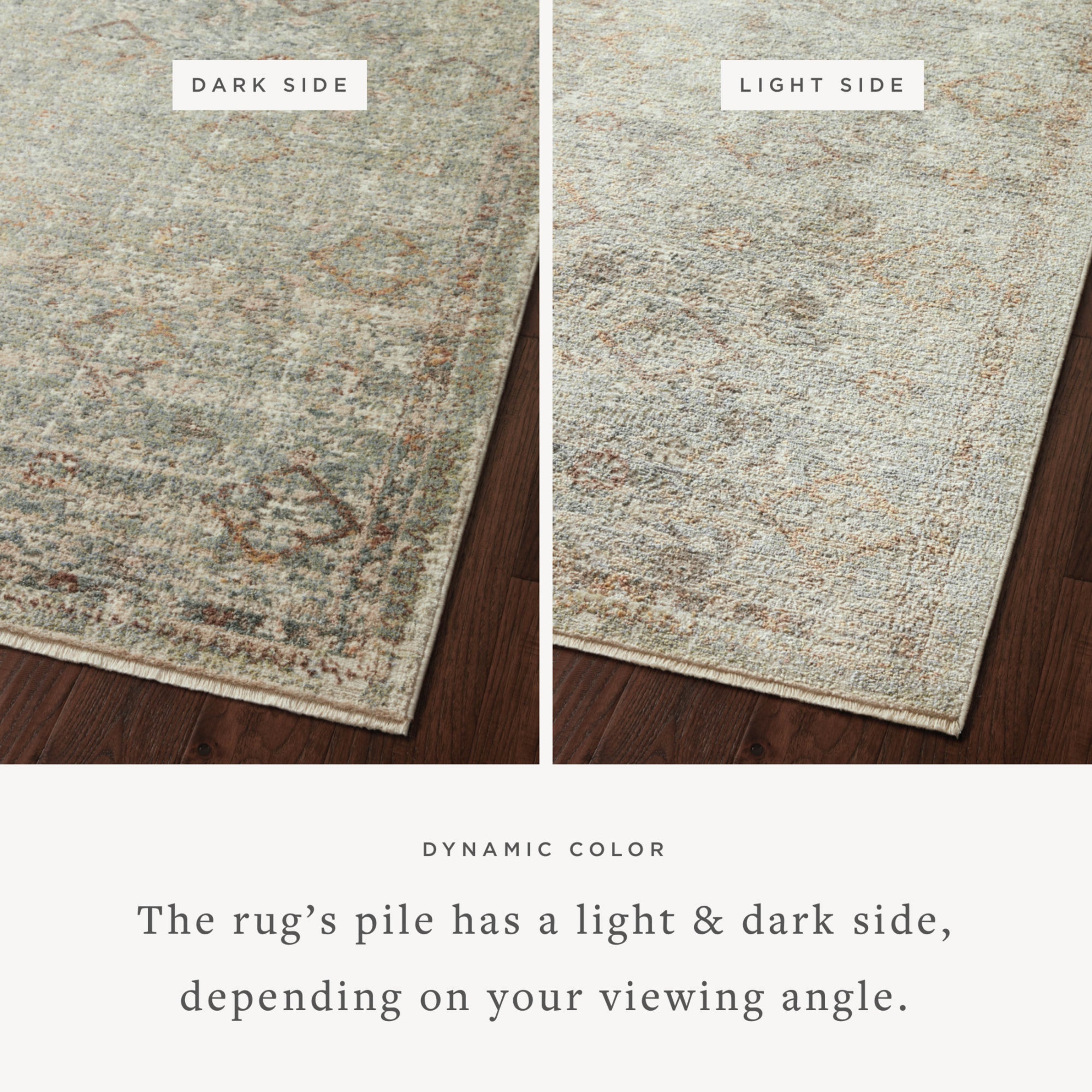 Loloi Sonnet Lagoon/Gold Rug