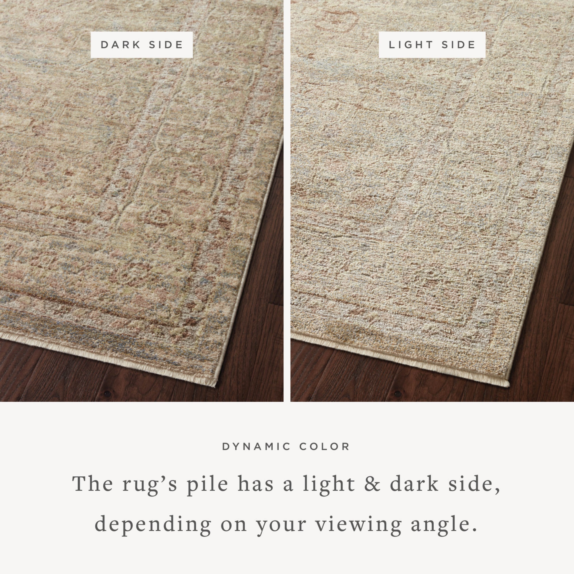 Loloi Sonnet Moss/Natural Rug