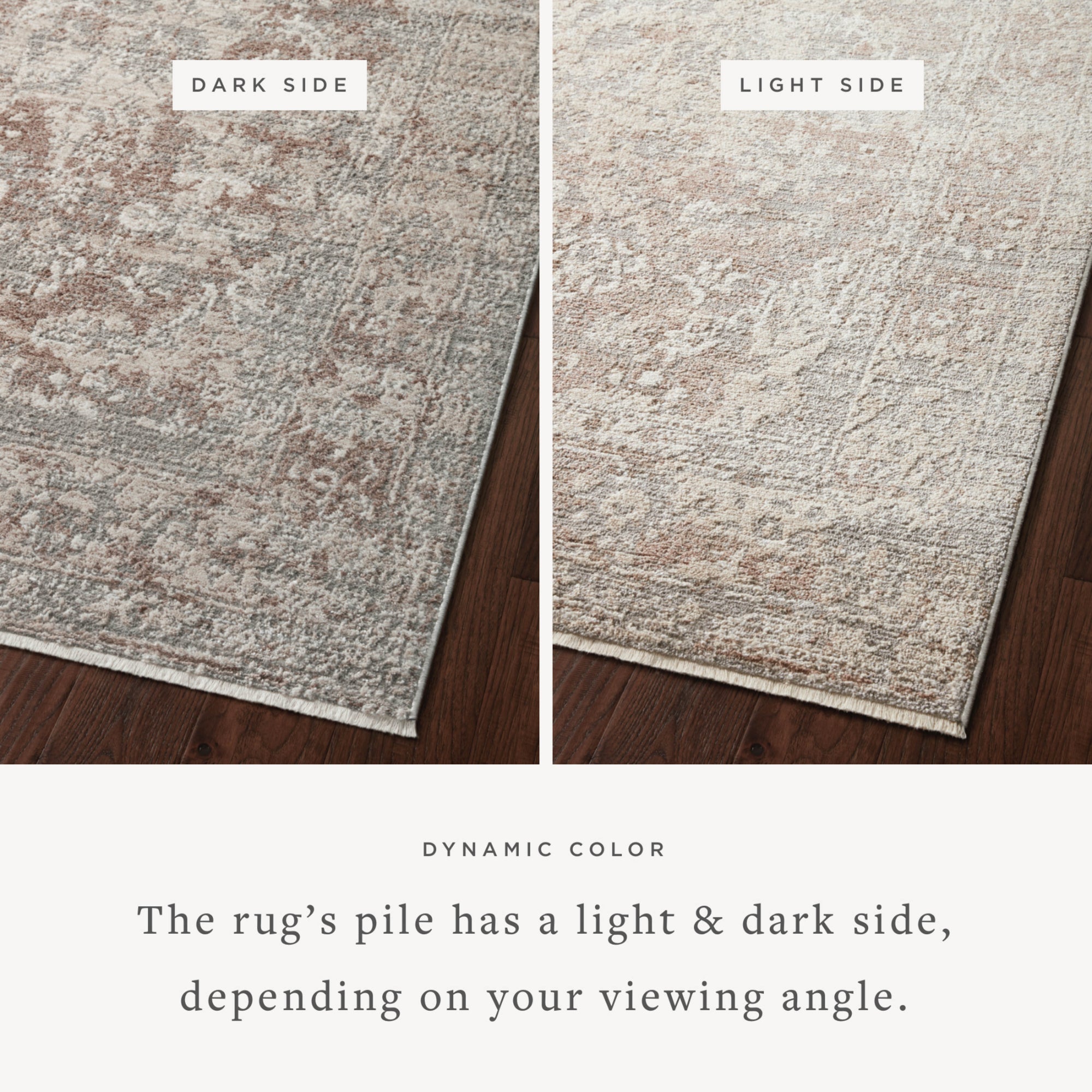 Loloi Sonnet Silver/Natural Rug