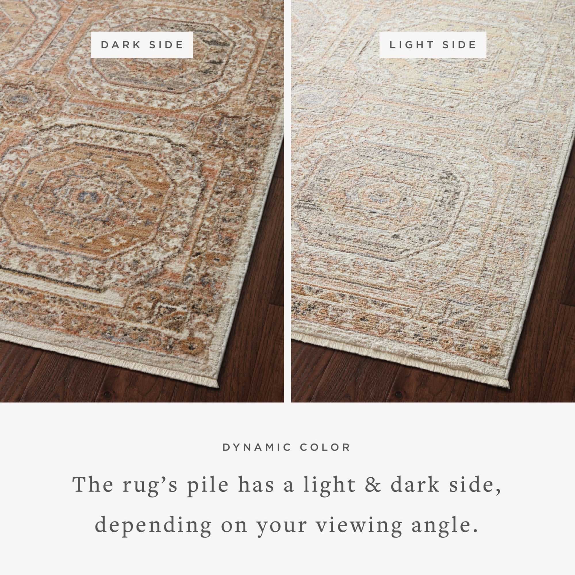 Loloi Sonnet Apricot/Multi Rug