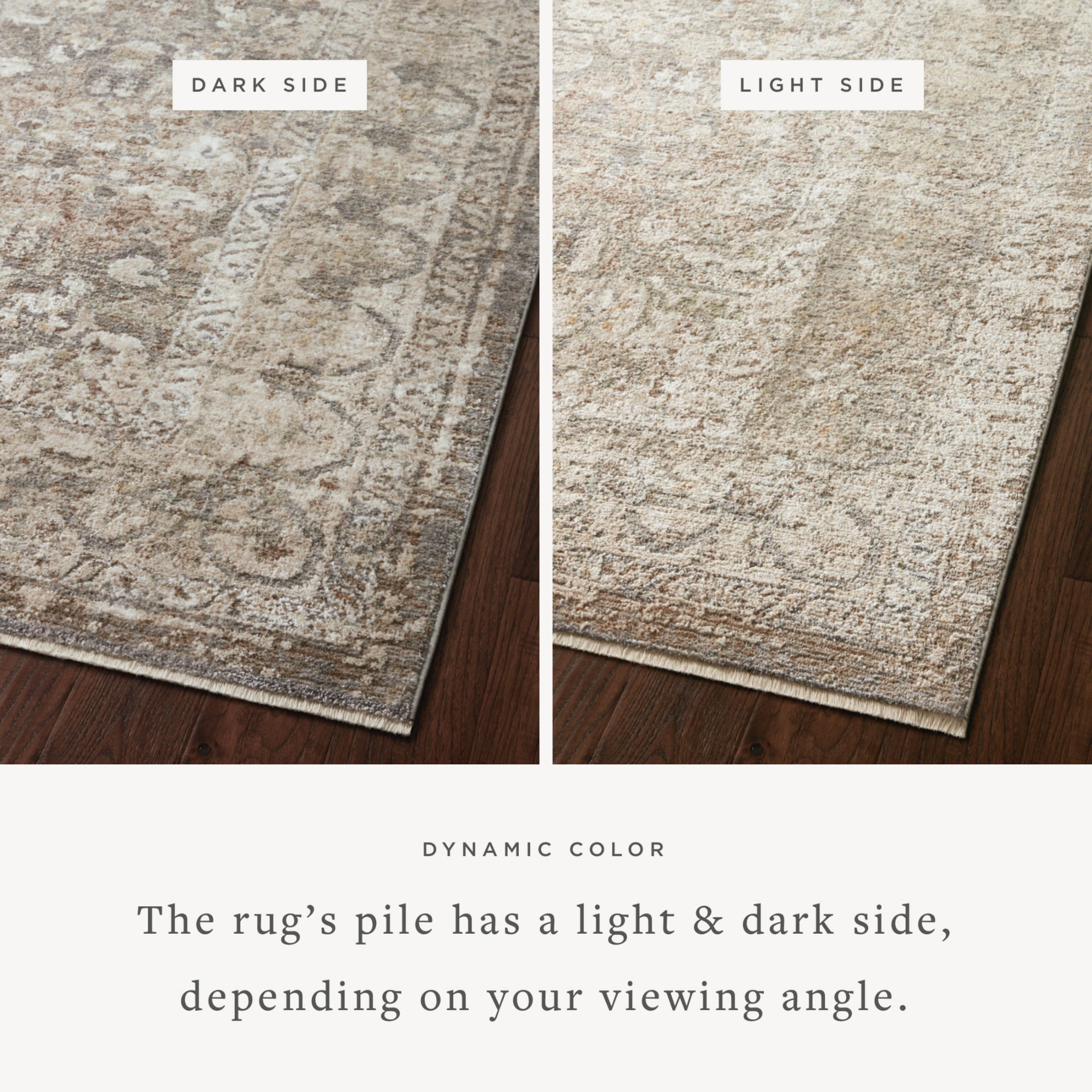Loloi Sonnet Grey/Sage Rug