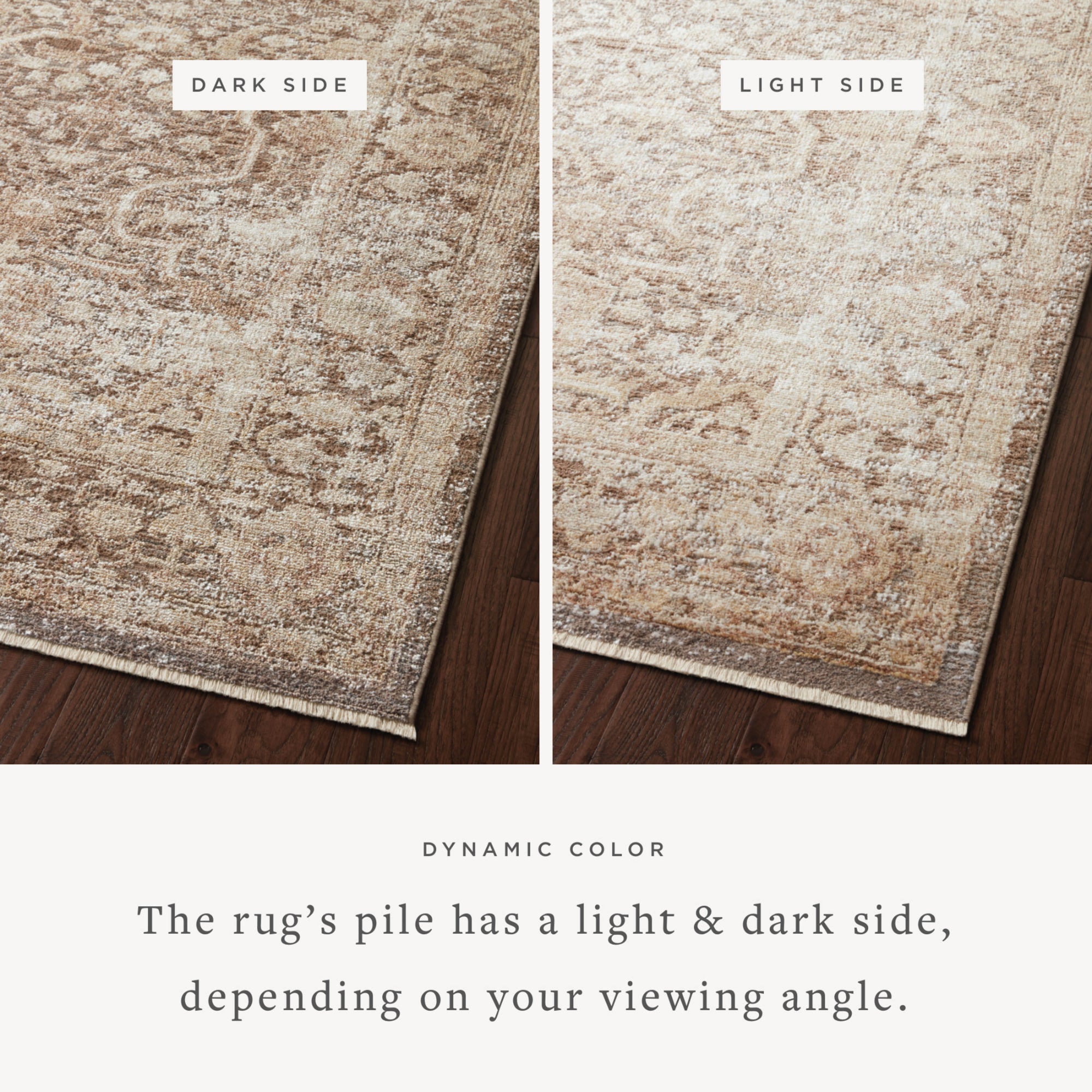 Loloi Sonnet Mocha/Tan Rug