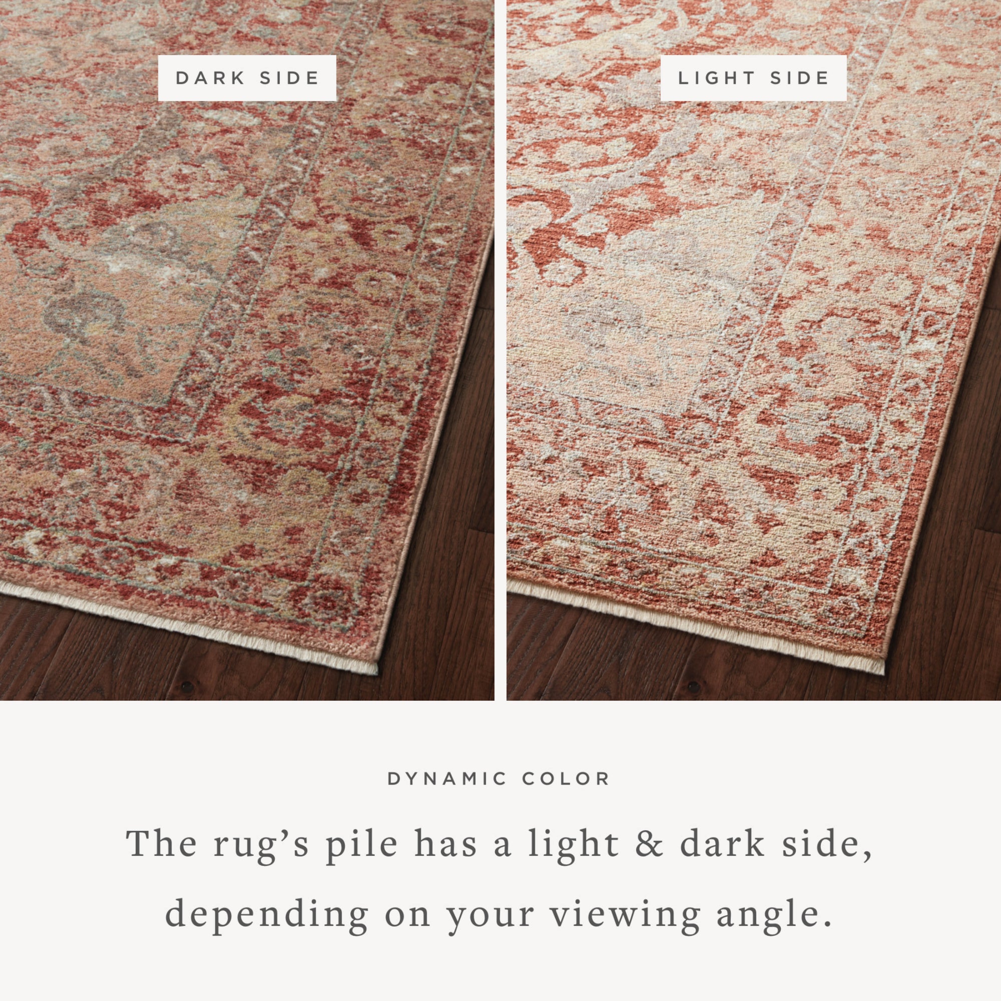 Loloi Sonnet Spice/Multi Rug