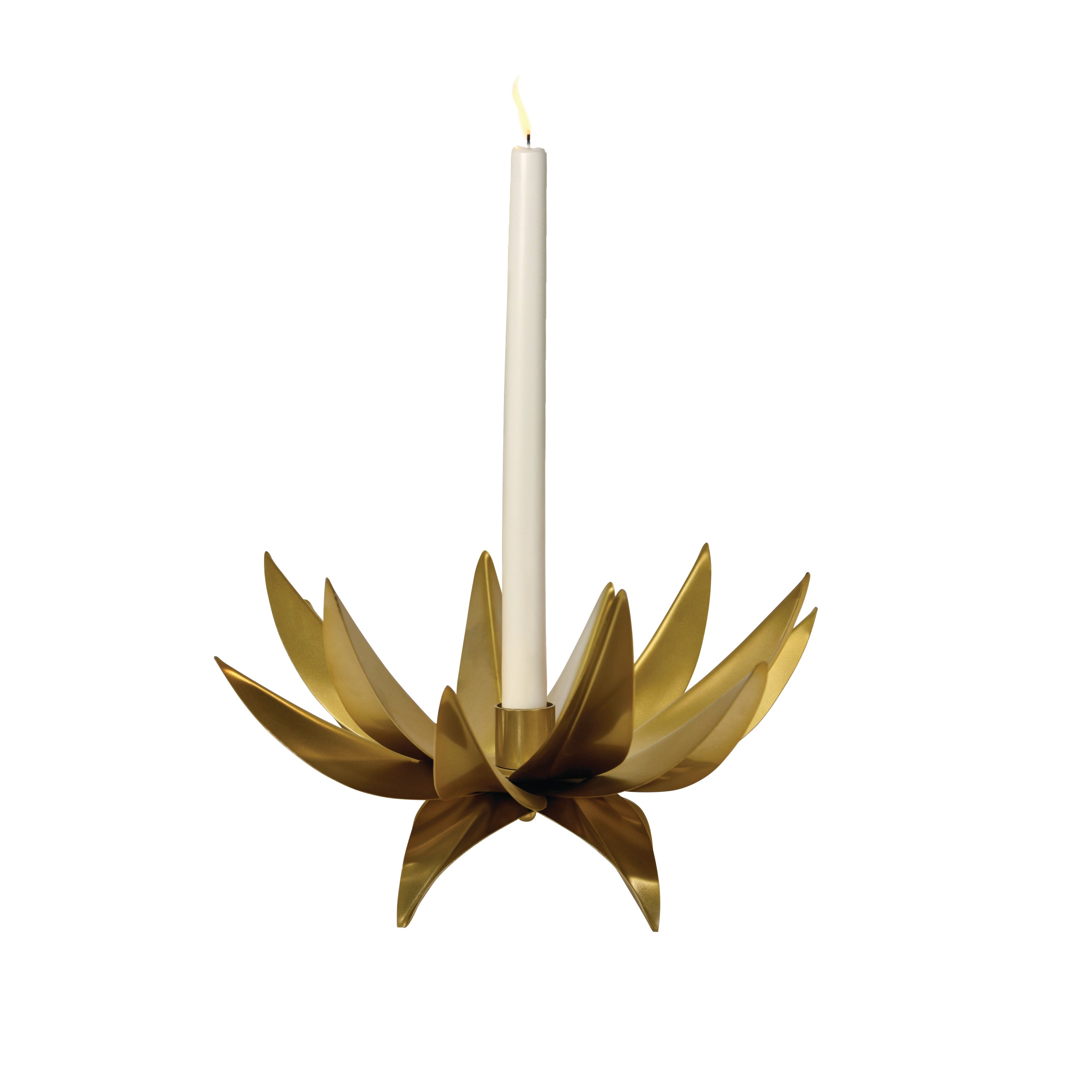 Sparky Palm Tree Candle Votive Candle Holders Worlds Away , Black Friday Sale Worlds Away Furniture Sale, Old Bones Co, Mid Century Furniture Sale, Four Hands Furniture, Black Friday Sale Sparky Palm Tree Candle Votive,Gus Sale, Perigold Sparky Palm Tree Candle Votive Candle Holders Black Friday Sale , Perigold Sale Sparky Palm Tree Candle Votive,Sparky Palm Tree Candle Votive Lulu and Georgia, Burke Decor Sale Sparky Palm Tree Candle Votive, www.oldbonesco.com