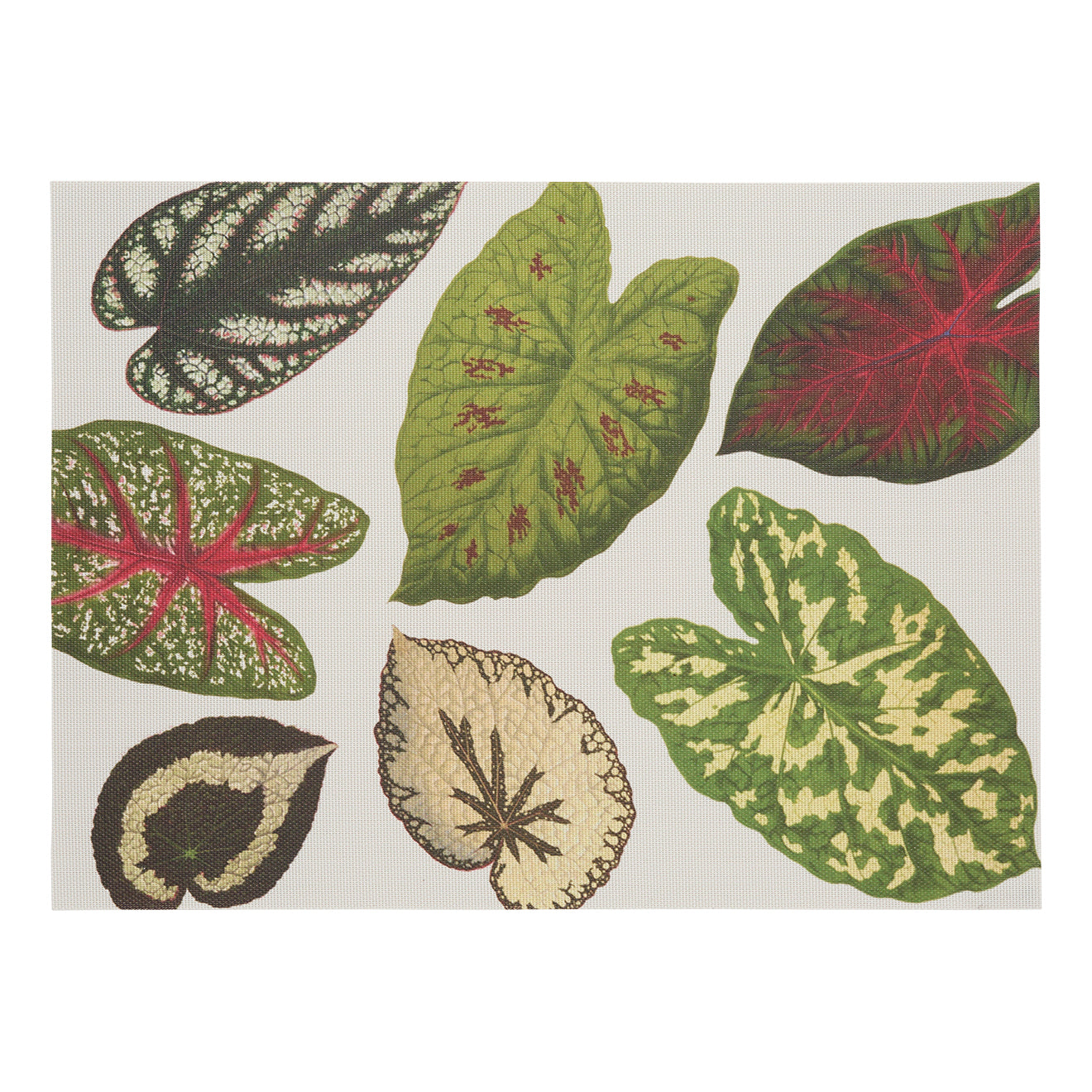 Chilewich Scattered Leaves Placemat - Thumbnail 2