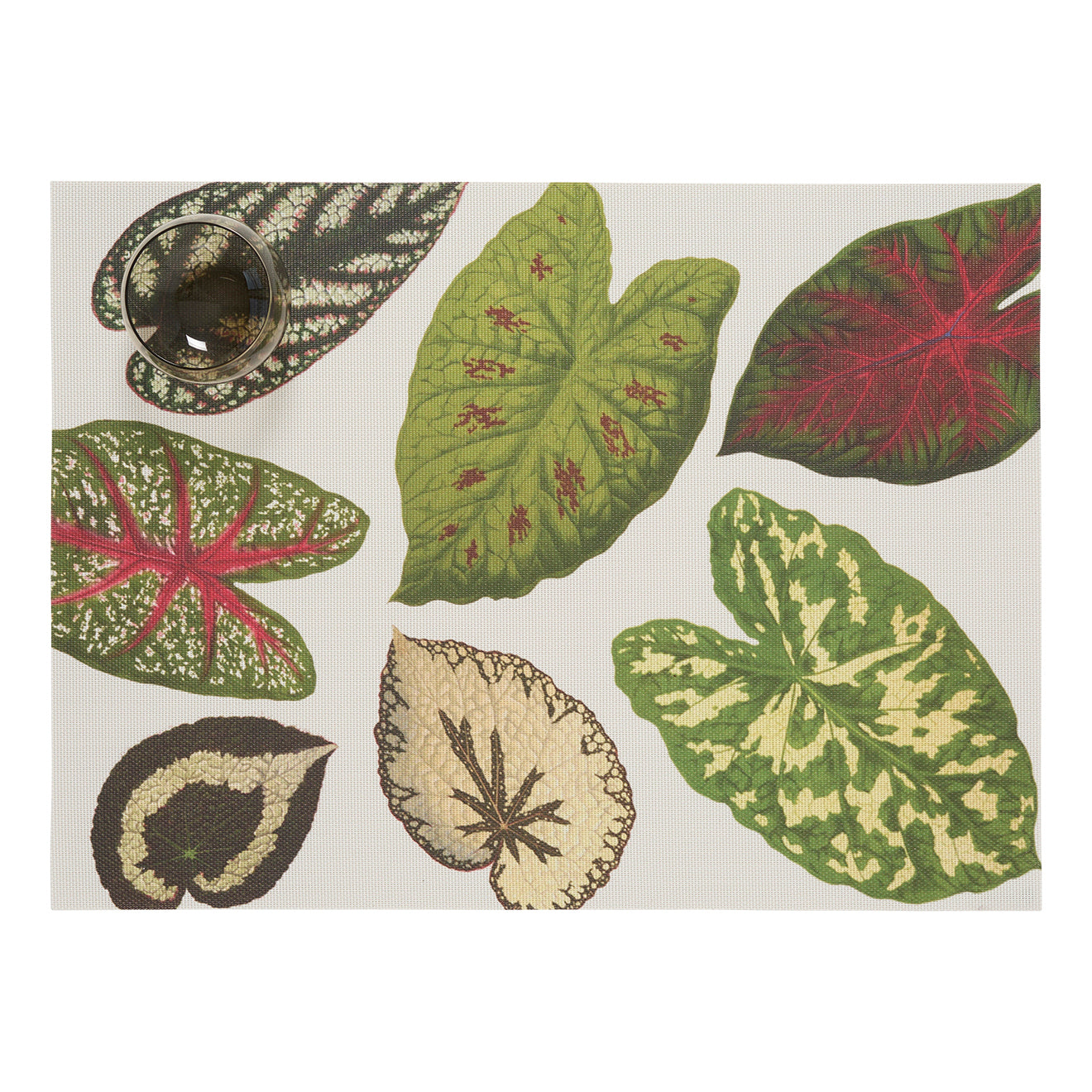 Scattered Leaves Rectangular Placemat