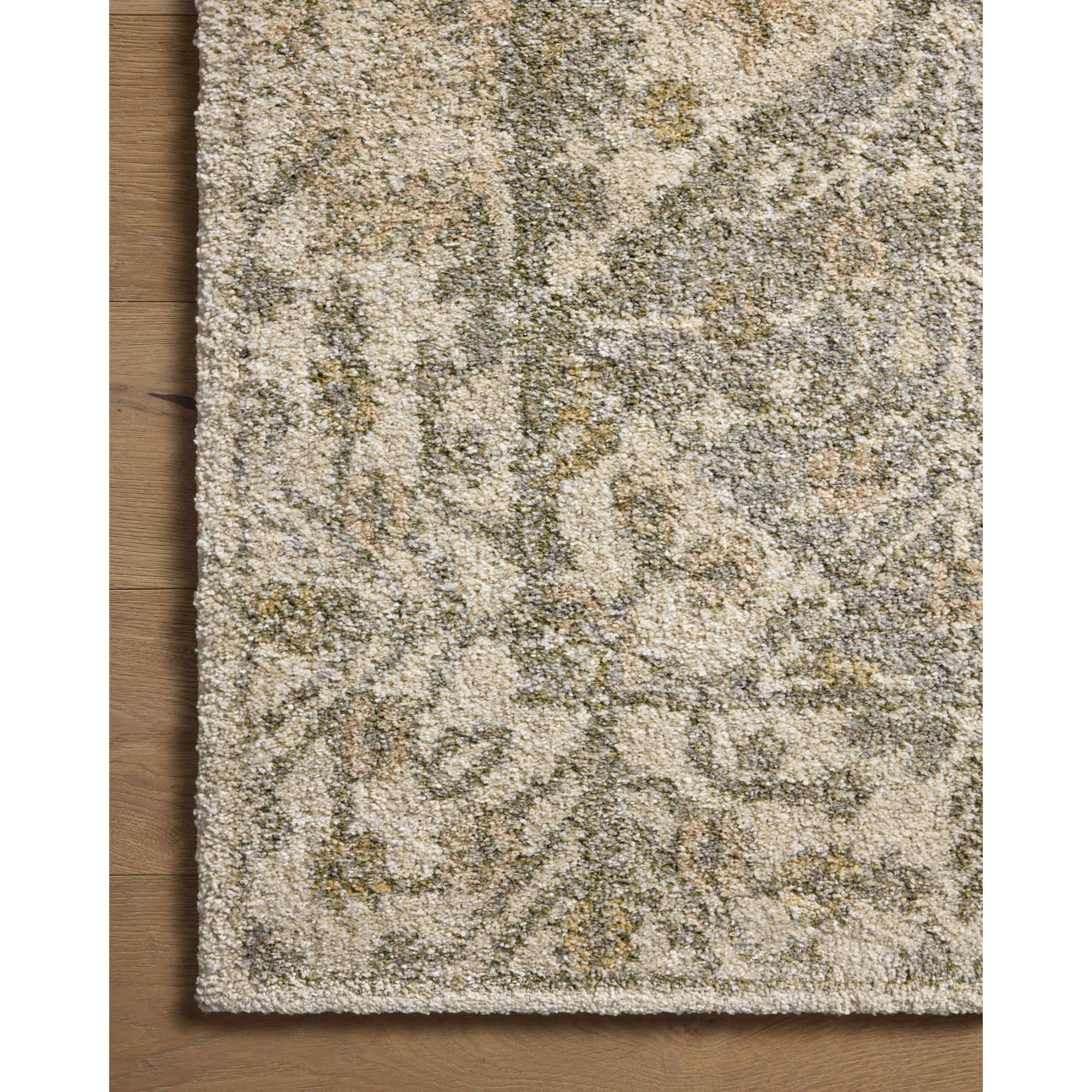 Loloi Tamryn Beige/Multi Rug