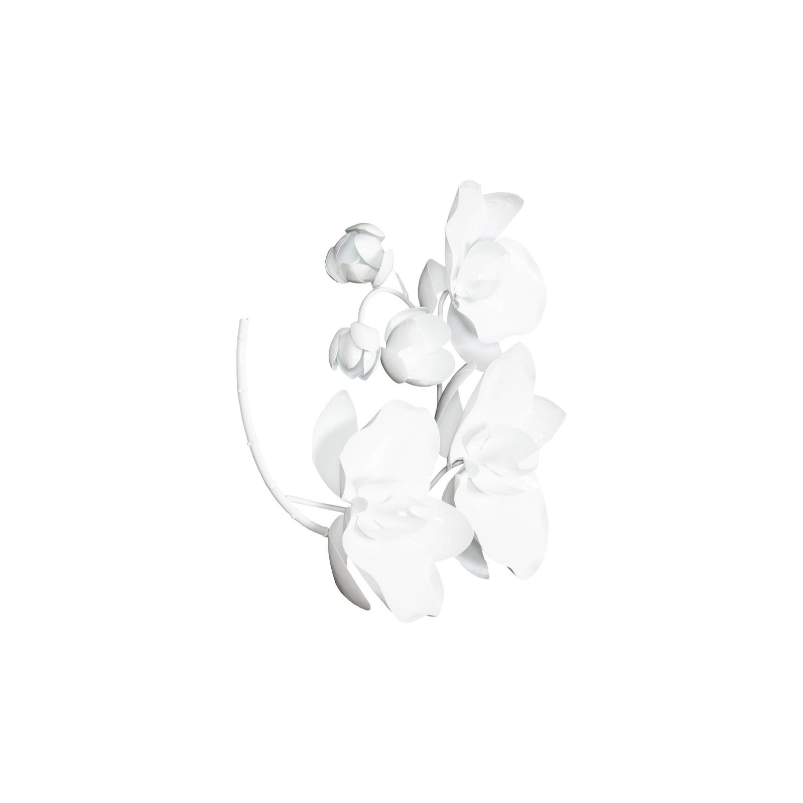 Orchid Sprig Wall Art