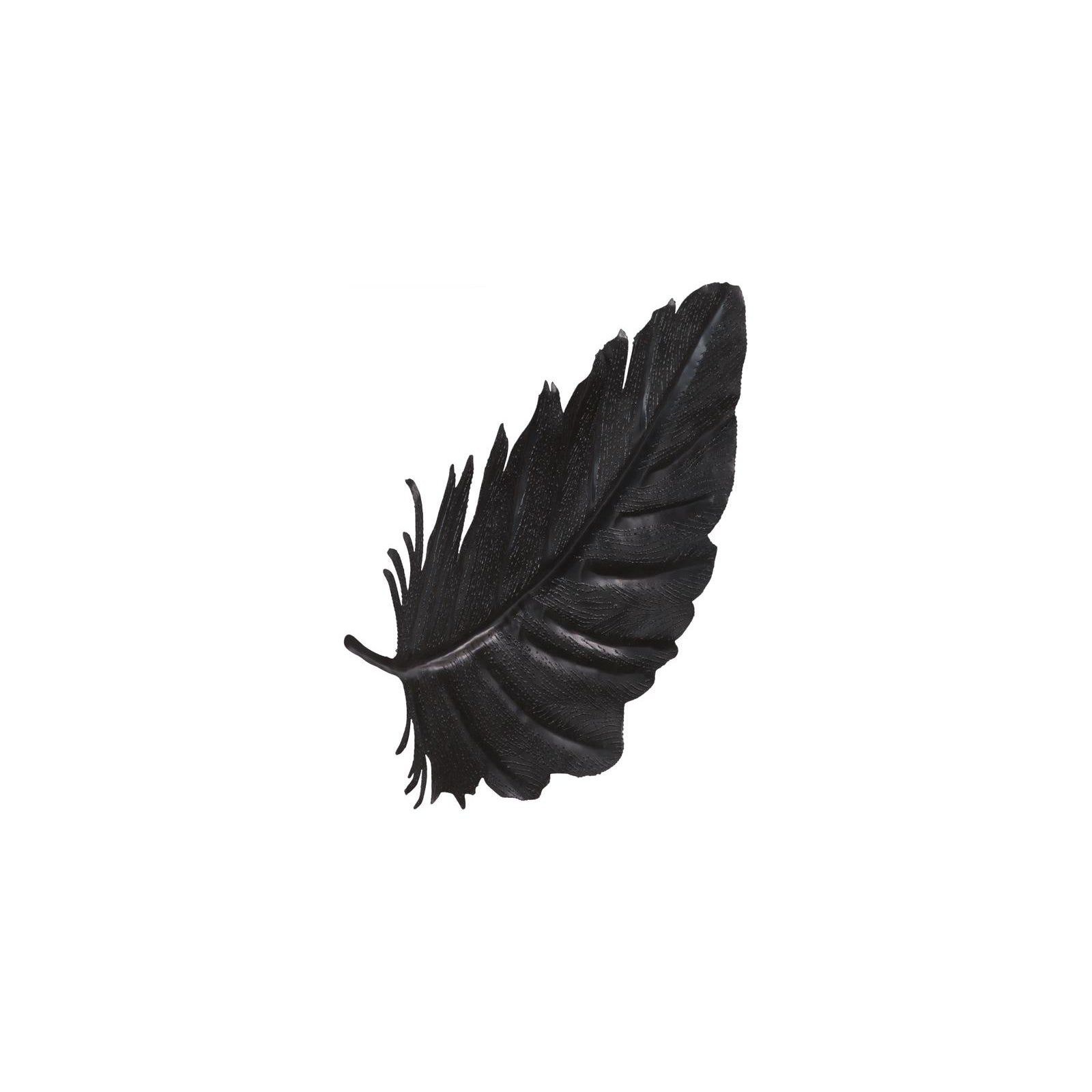 Feather Wall Decor - Black