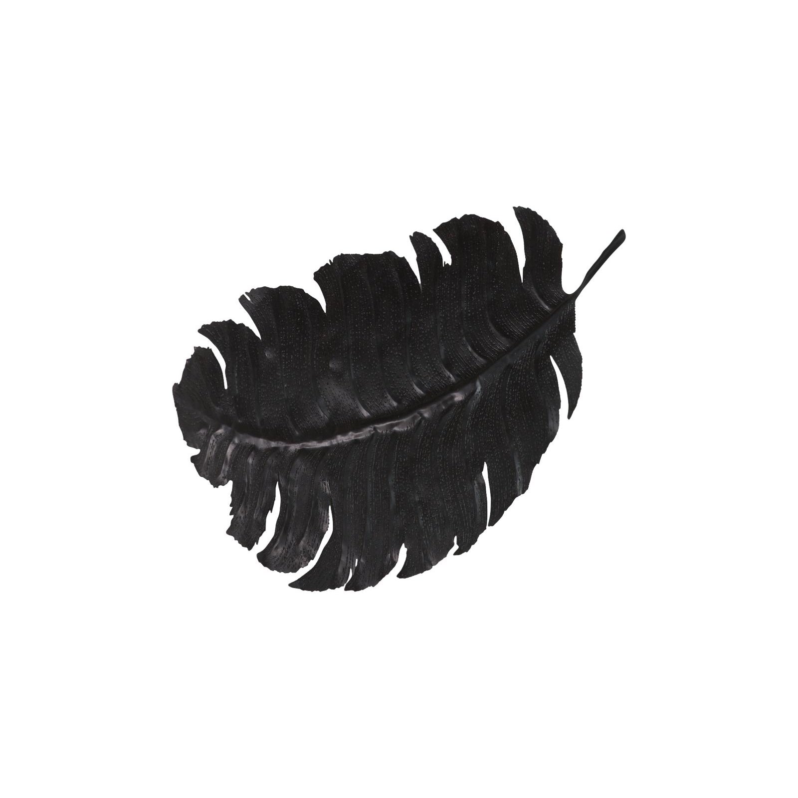 Feather Wall Decor - Black