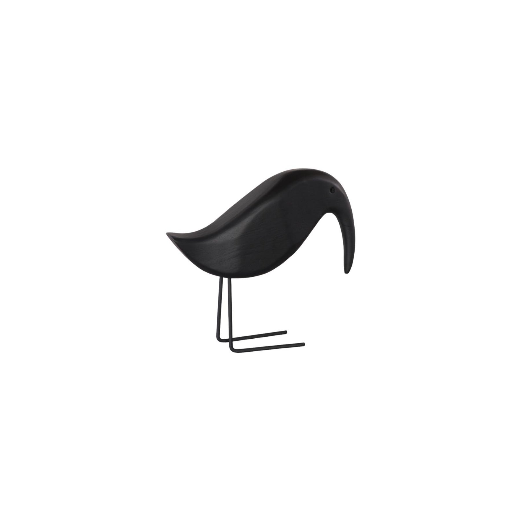Black Bird